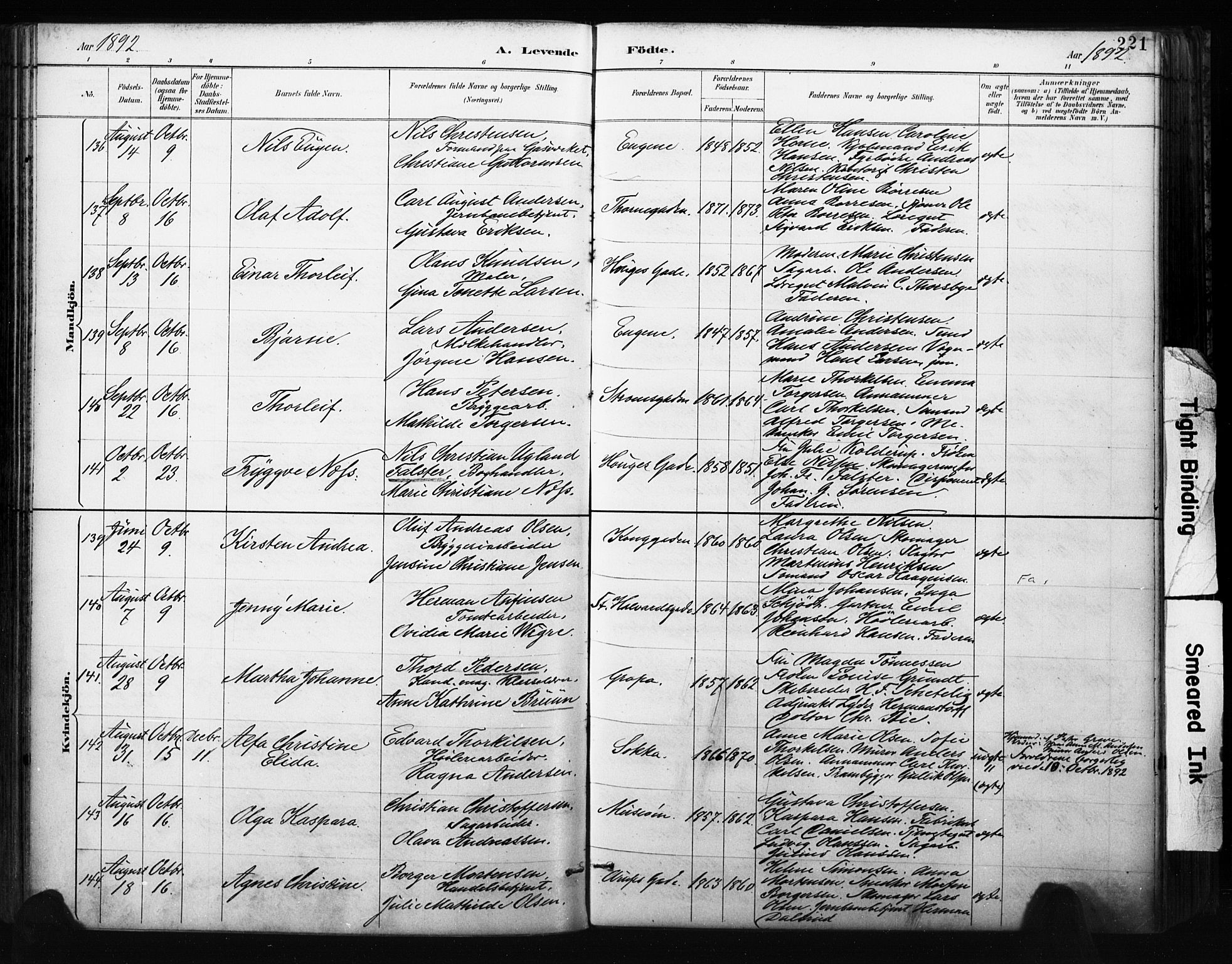 Bragernes kirkebøker, AV/SAKO-A-6/F/Fb/L0007: Parish register (official) no. II 7, 1885-1893, p. 221