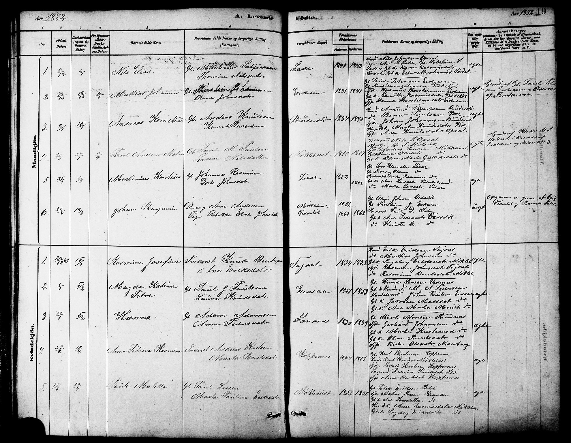 Ministerialprotokoller, klokkerbøker og fødselsregistre - Møre og Romsdal, AV/SAT-A-1454/502/L0027: Parish register (copy) no. 502C01, 1878-1908, p. 19