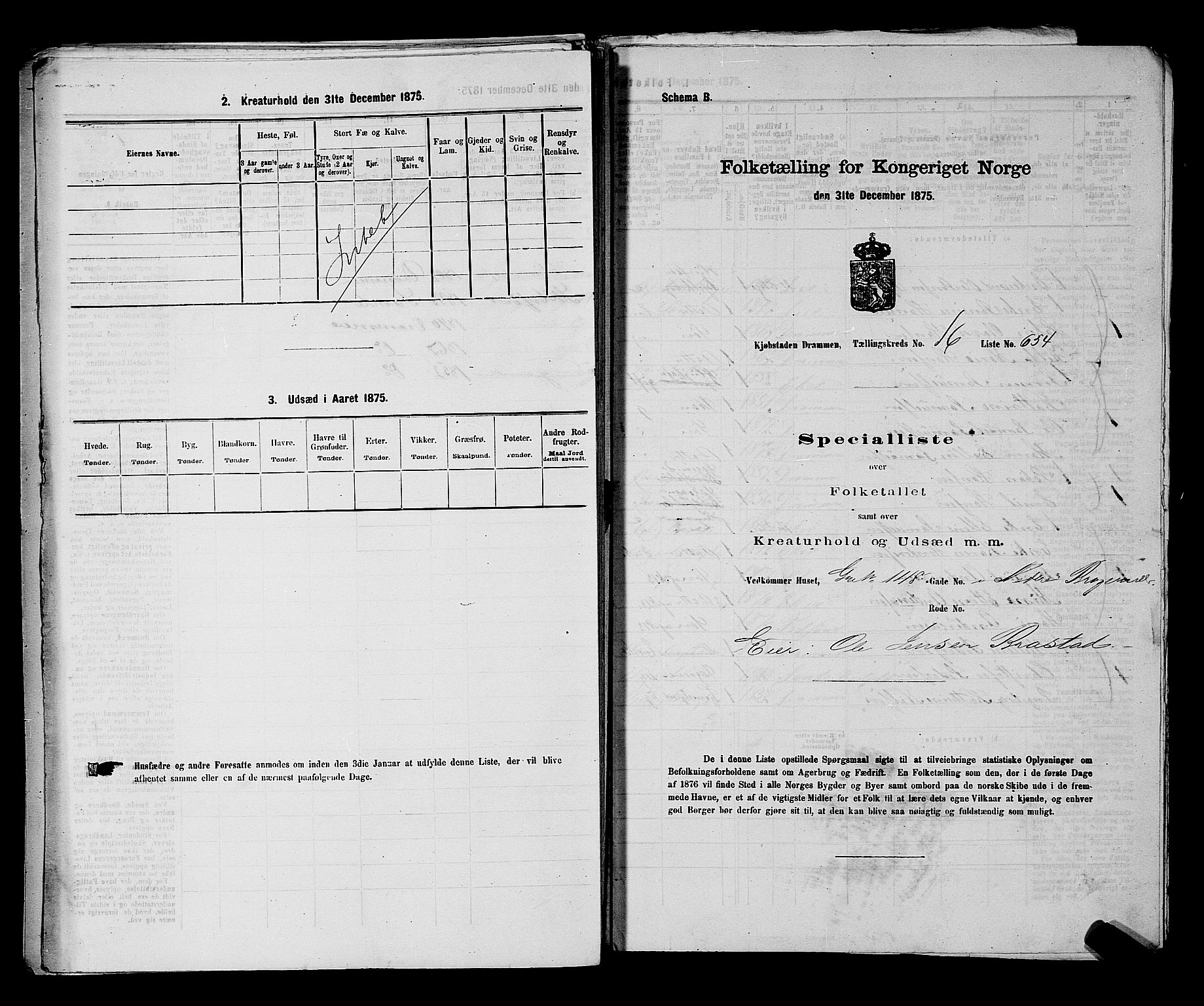 SAKO, 1875 census for 0602 Drammen, 1875, p. 1846