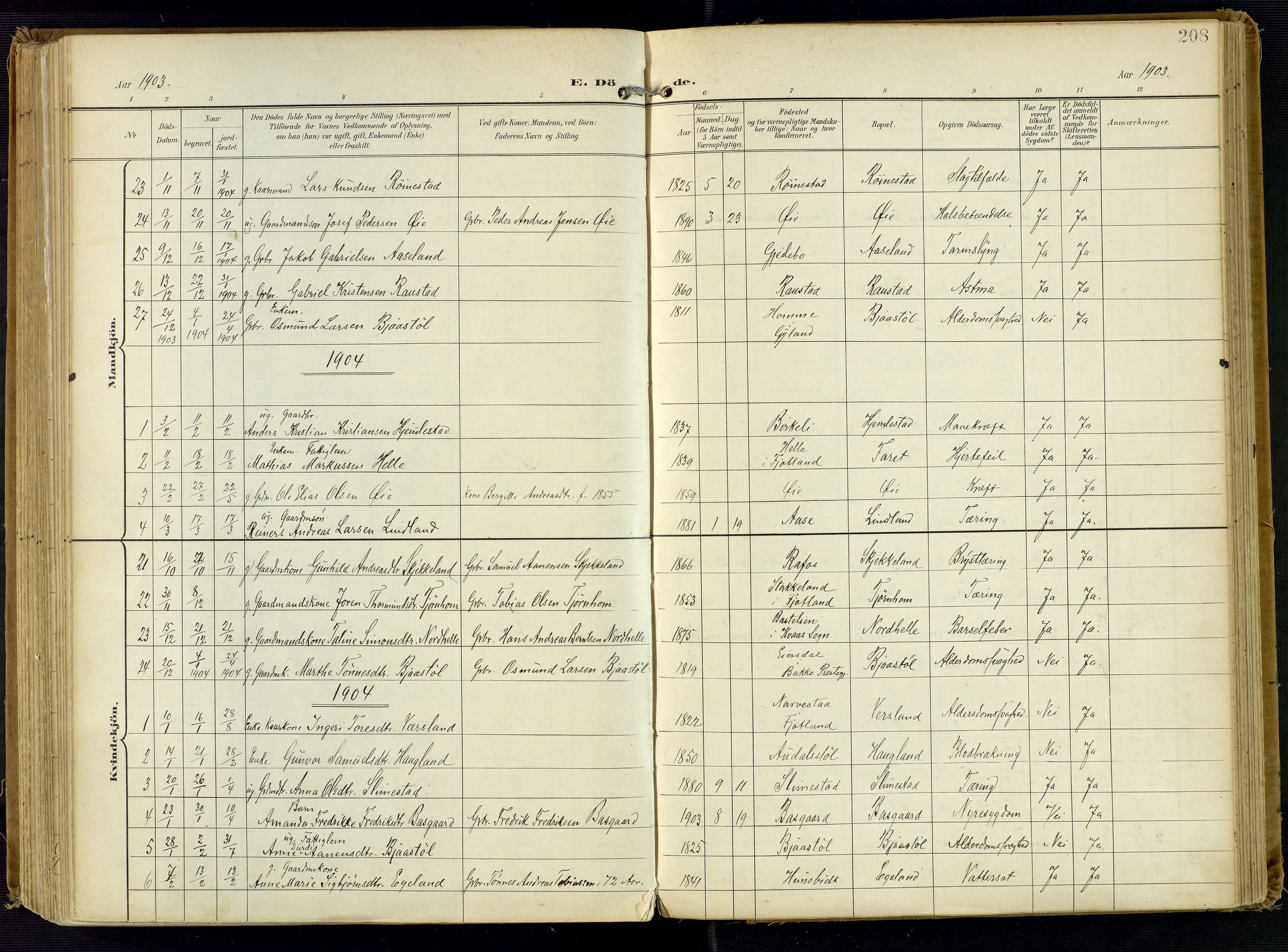 Kvinesdal sokneprestkontor, AV/SAK-1111-0026/F/Fa/Fab/L0009: Parish register (official) no. A 9, 1898-1915, p. 208