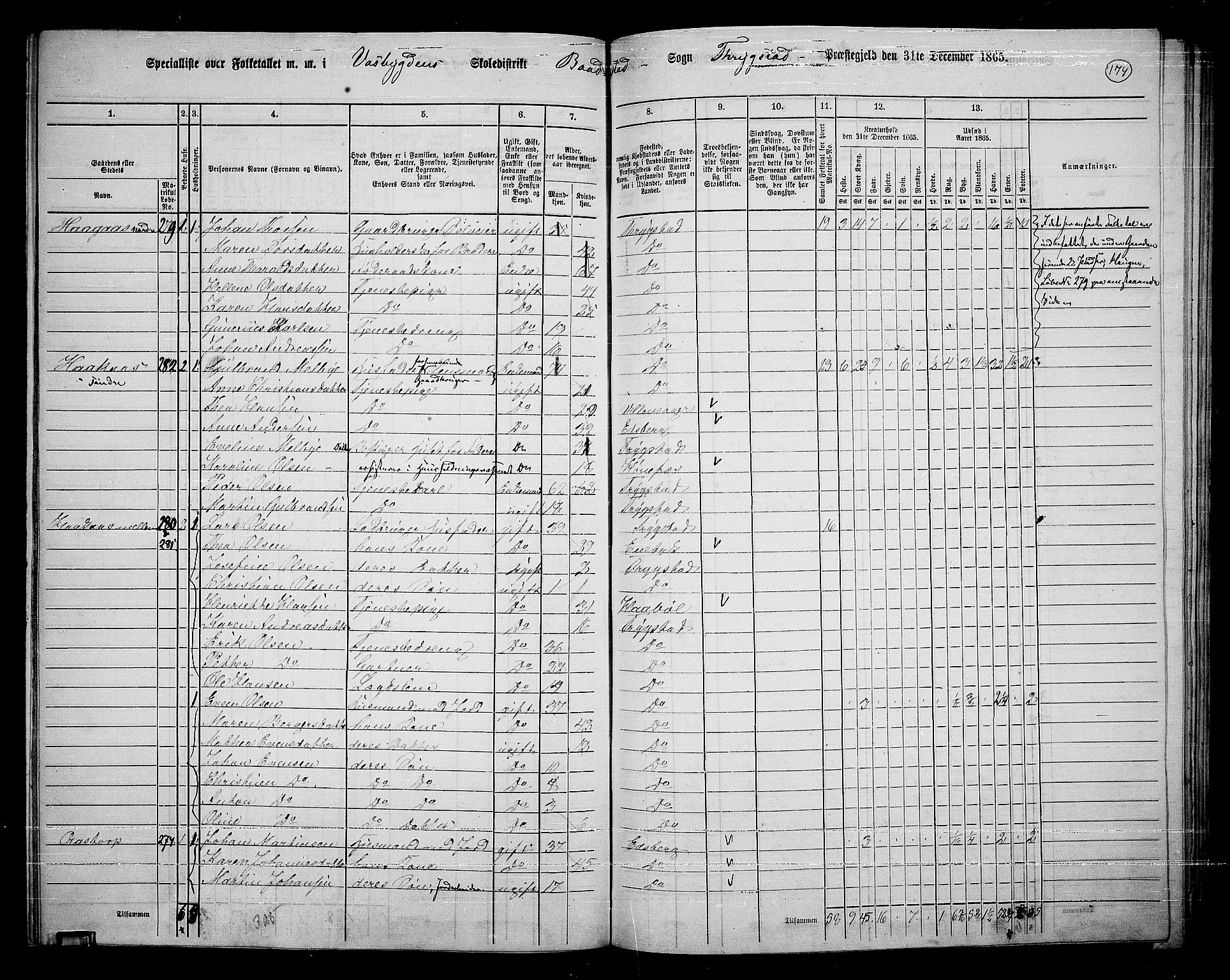 RA, 1865 census for Trøgstad, 1865, p. 154