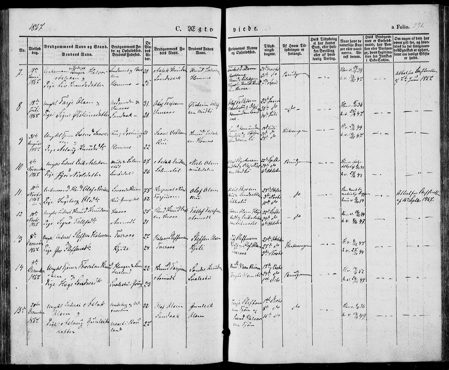 Vinje kirkebøker, SAKO/A-312/F/Fa/L0004: Parish register (official) no. I 4, 1843-1869, p. 291