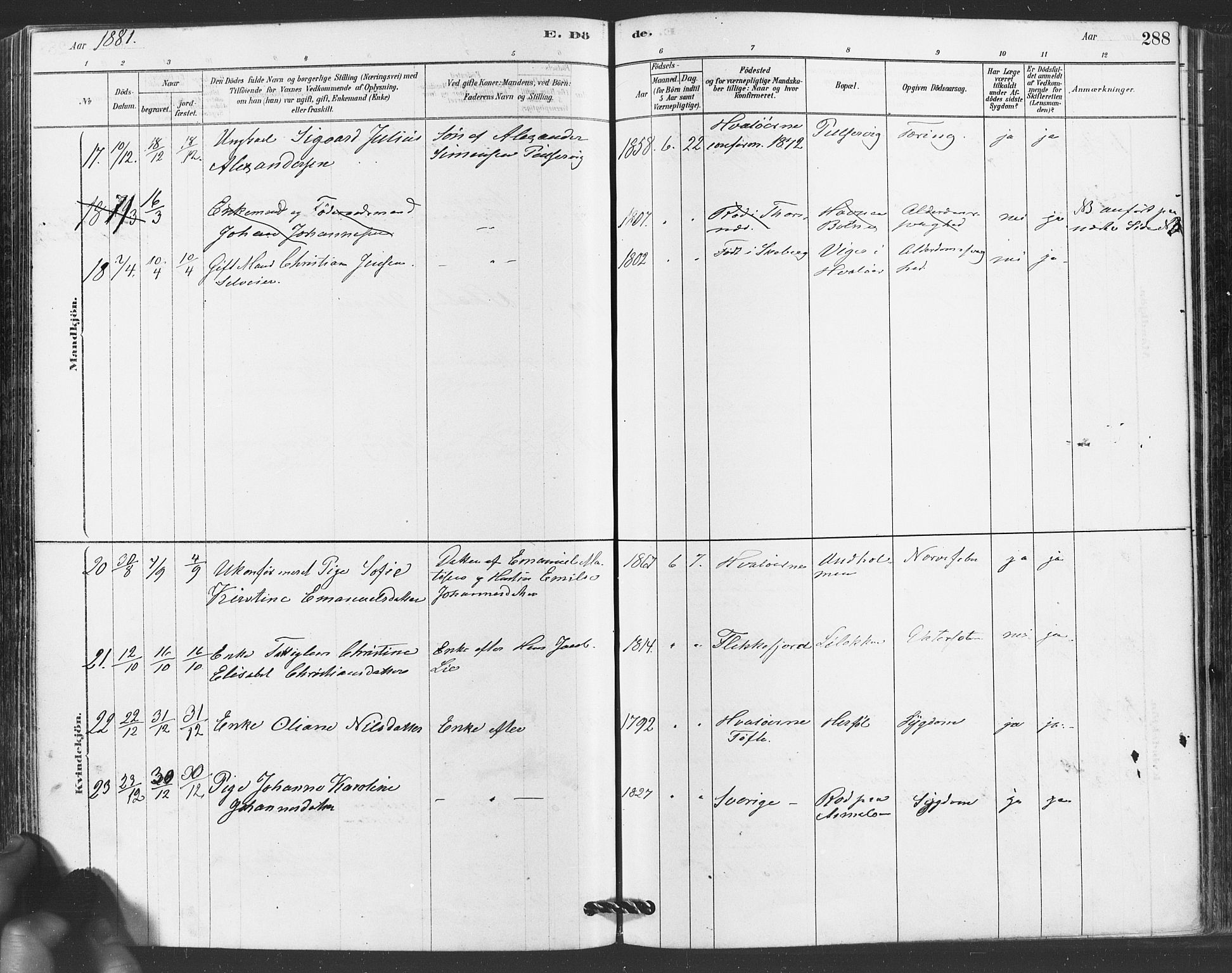 Hvaler prestekontor Kirkebøker, AV/SAO-A-2001/F/Fa/L0008: Parish register (official) no. I 8, 1878-1895, p. 288