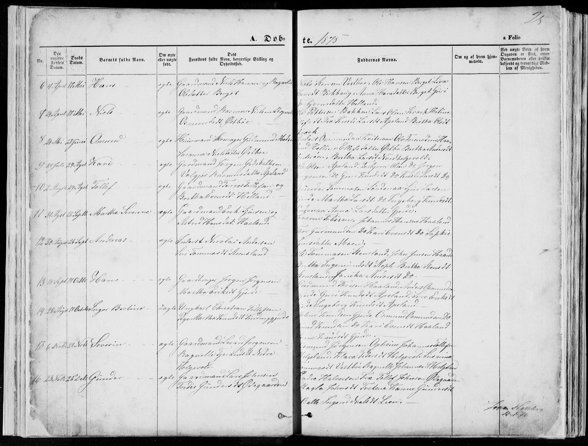 Vikedal sokneprestkontor, SAST/A-101840/01/V: Parish register (copy) no. B 10, 1864-1926, p. 25