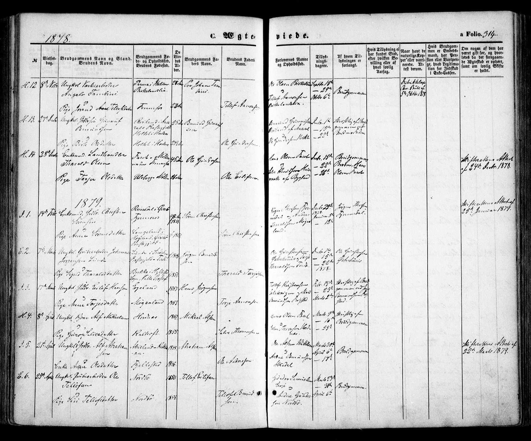 Evje sokneprestkontor, SAK/1111-0008/F/Fa/Faa/L0006: Parish register (official) no. A 6, 1866-1884, p. 314