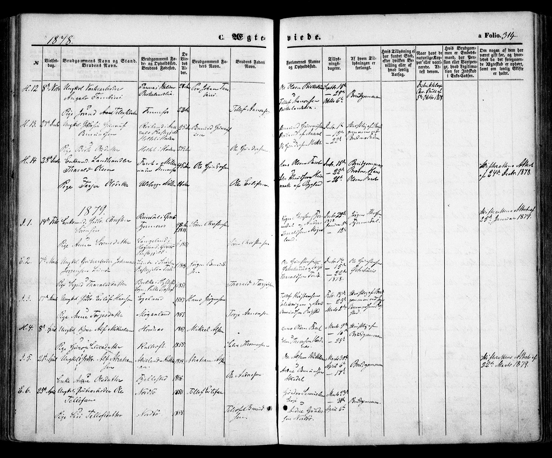 Evje sokneprestkontor, AV/SAK-1111-0008/F/Fa/Faa/L0006: Parish register (official) no. A 6, 1866-1884, p. 314