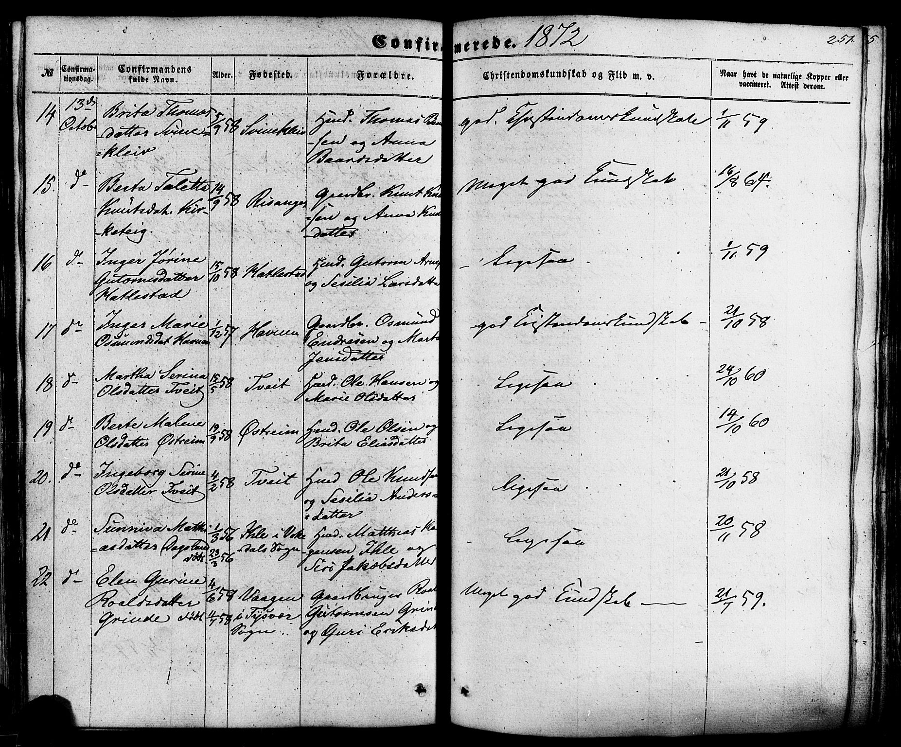 Skjold sokneprestkontor, AV/SAST-A-101847/H/Ha/Haa/L0008: Parish register (official) no. A 8, 1856-1882, p. 251