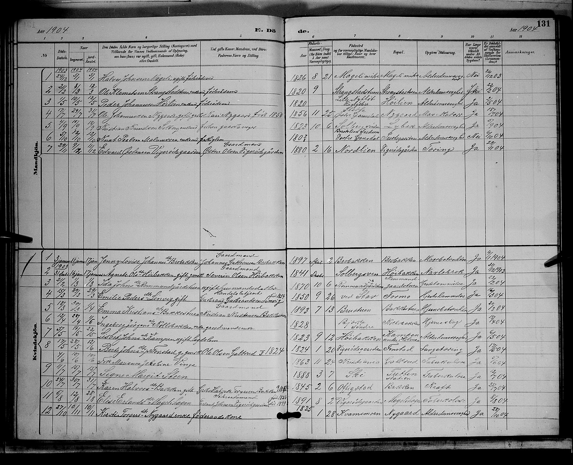 Øyer prestekontor, SAH/PREST-084/H/Ha/Hab/L0004: Parish register (copy) no. 4, 1894-1905, p. 131