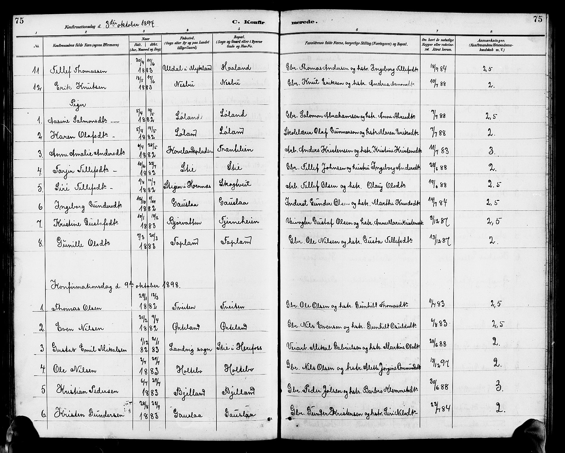 Herefoss sokneprestkontor, AV/SAK-1111-0019/F/Fb/Fba/L0003: Parish register (copy) no. B 3, 1887-1925, p. 75