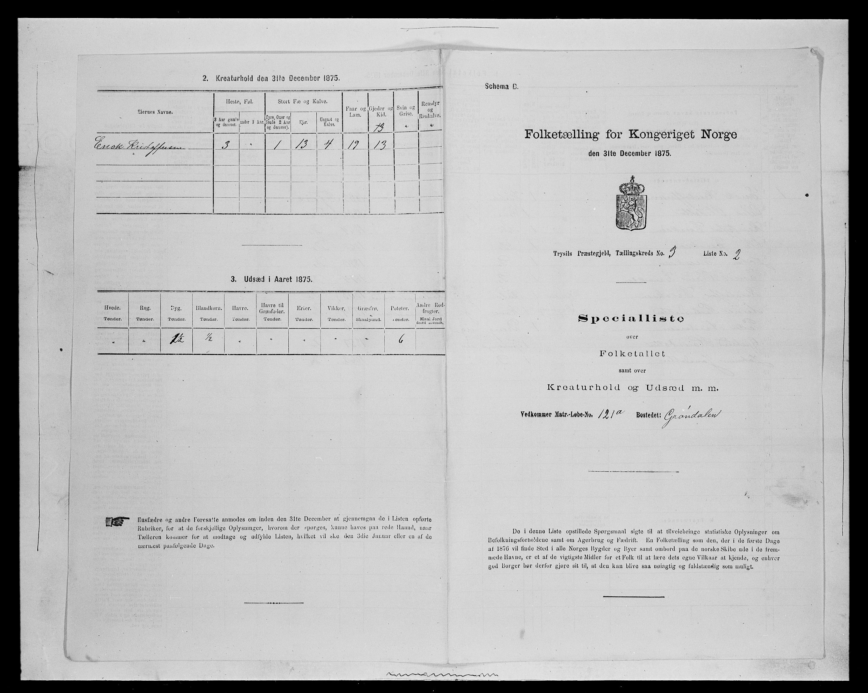 SAH, 1875 census for 0428P Trysil, 1875, p. 406