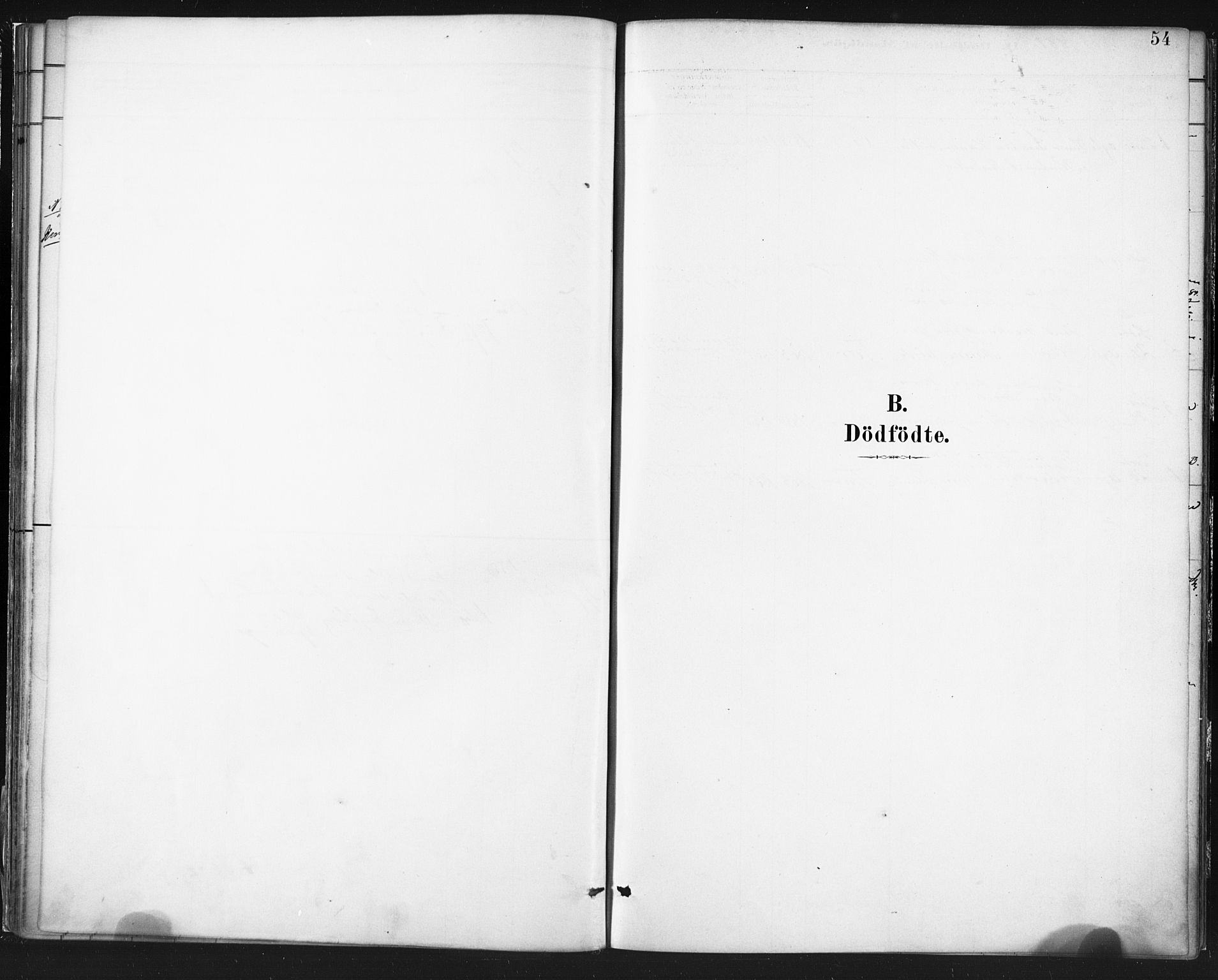 Ministerialprotokoller, klokkerbøker og fødselsregistre - Nordland, SAT/A-1459/803/L0071: Parish register (official) no. 803A01, 1881-1897, p. 54