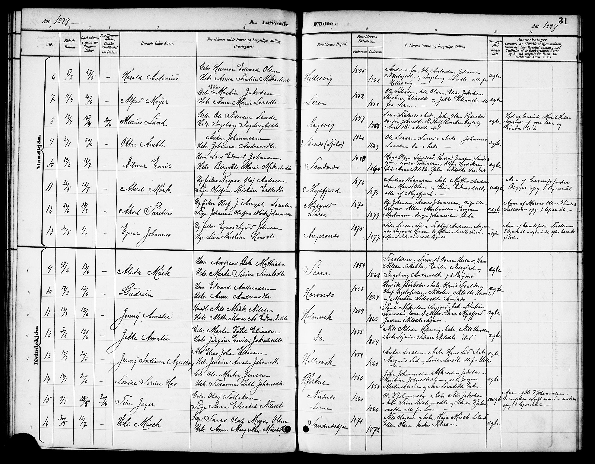 Ministerialprotokoller, klokkerbøker og fødselsregistre - Nordland, SAT/A-1459/831/L0478: Parish register (copy) no. 831C05, 1892-1909, p. 31