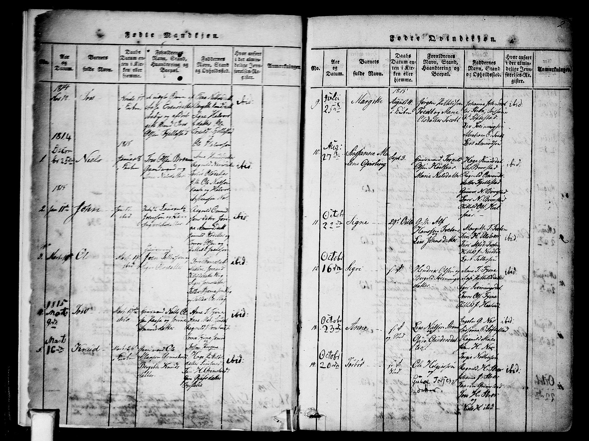 Nissedal kirkebøker, SAKO/A-288/F/Fa/L0002: Parish register (official) no. I 2, 1814-1845, p. 2