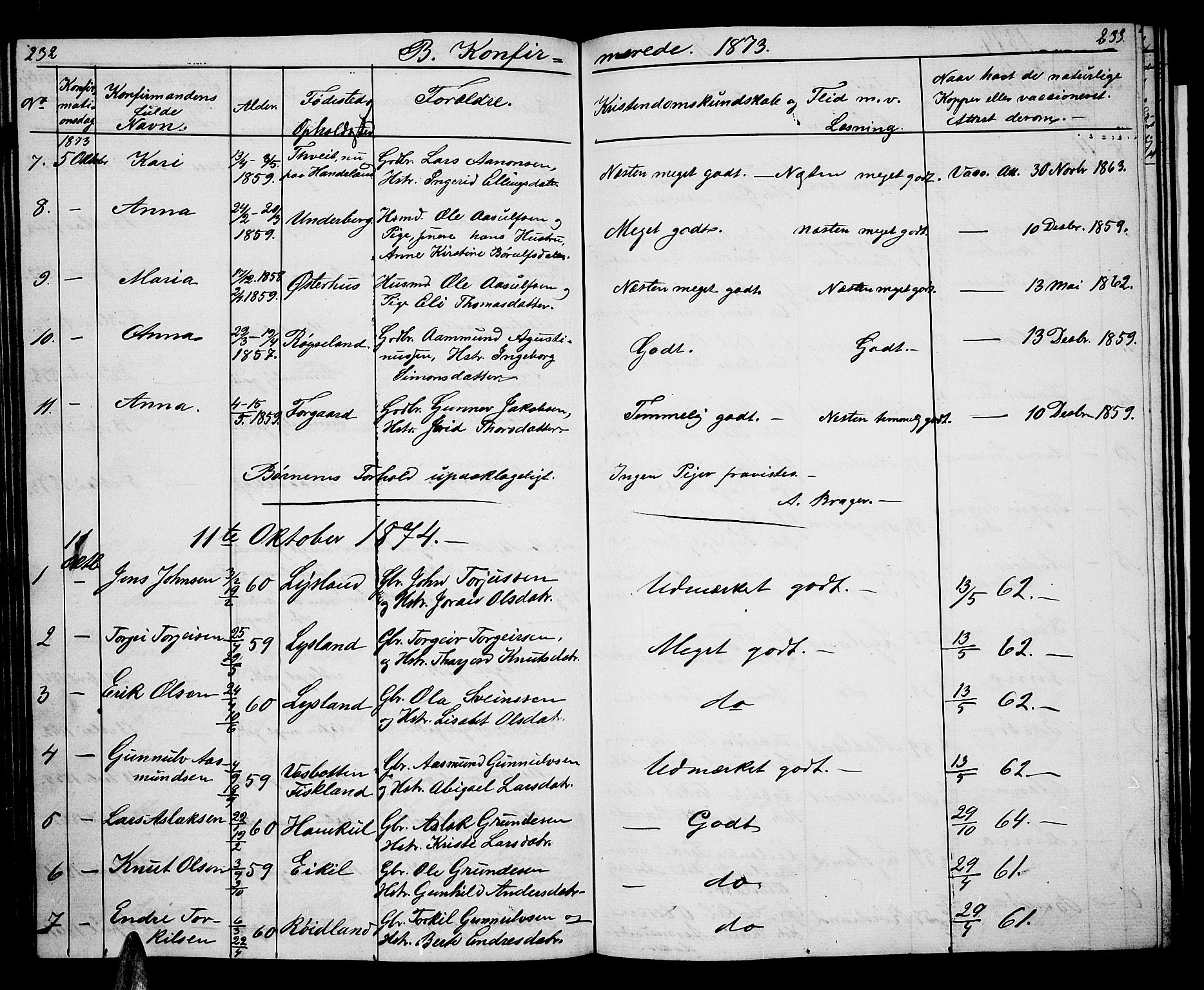 Åseral sokneprestkontor, AV/SAK-1111-0051/F/Fb/L0001: Parish register (copy) no. B 1, 1856-1877, p. 232-233