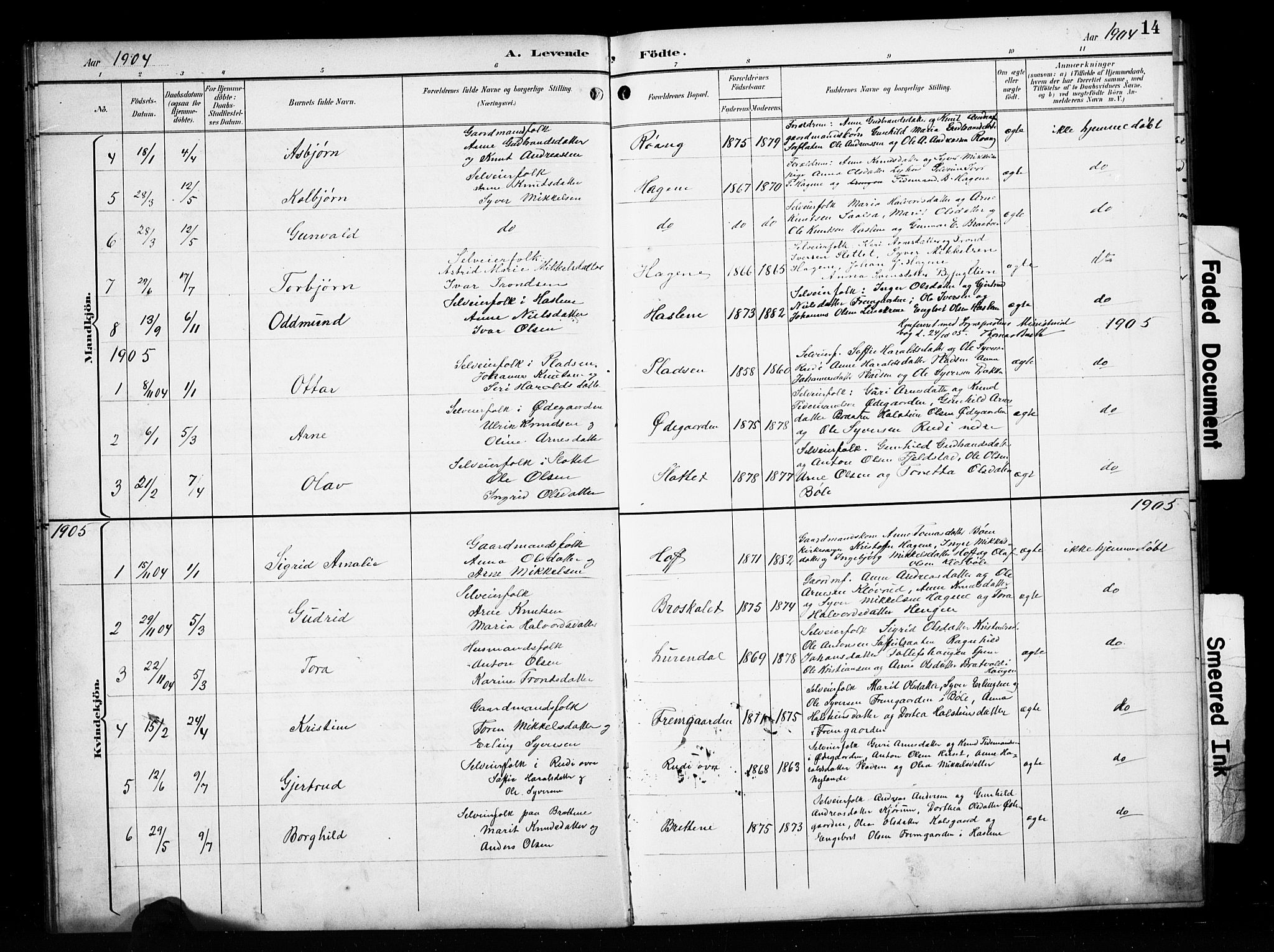 Sør-Aurdal prestekontor, SAH/PREST-128/H/Ha/Hab/L0010: Parish register (copy) no. 10, 1894-1929, p. 14