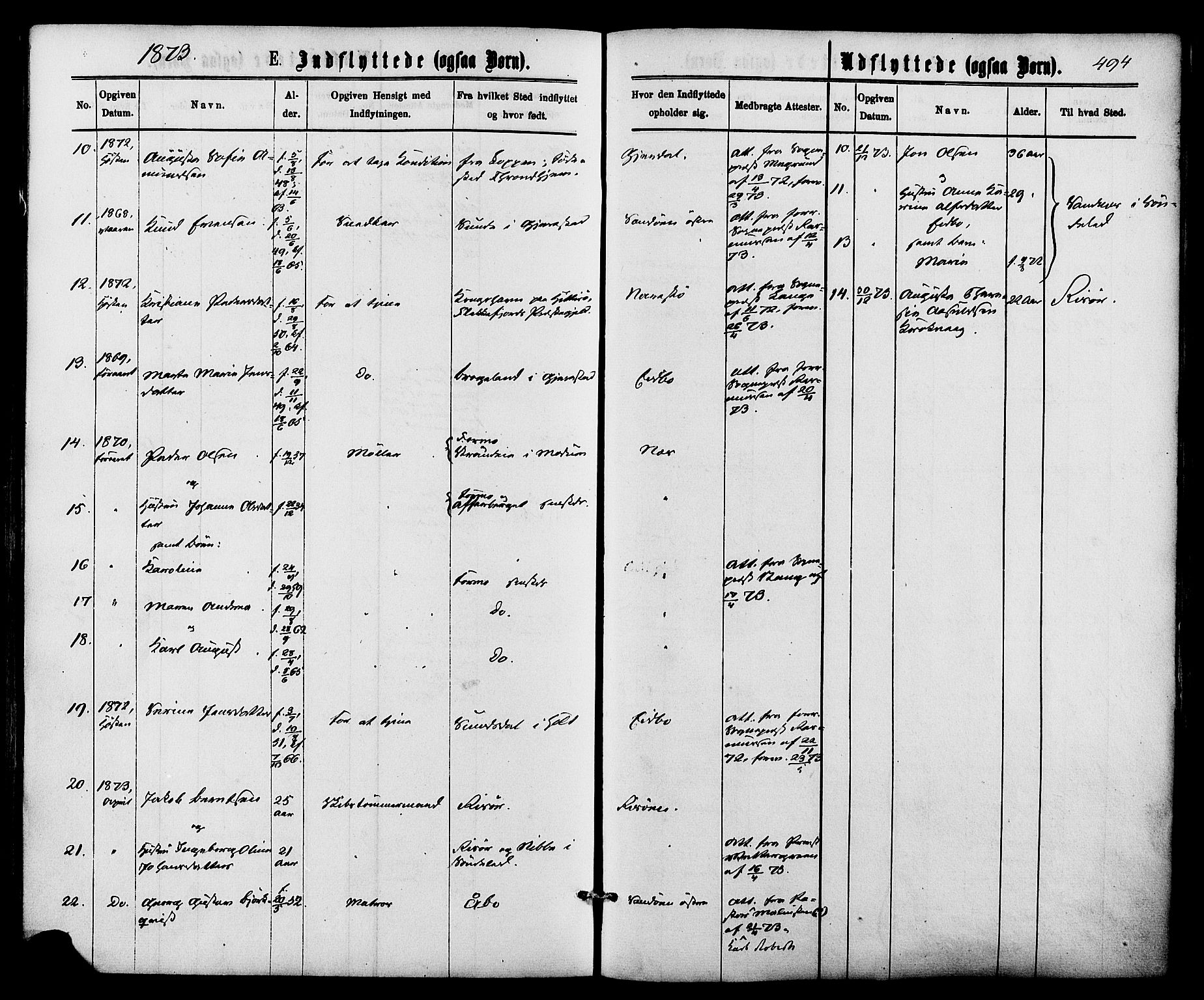 Dypvåg sokneprestkontor, AV/SAK-1111-0007/F/Fa/Faa/L0007: Parish register (official) no. A 7/ 1, 1872-1884, p. 494