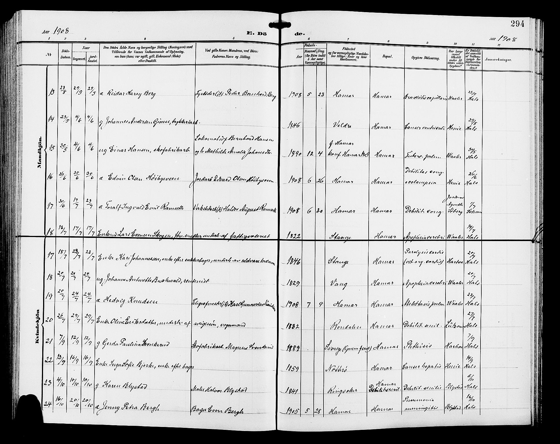 Hamar prestekontor, AV/SAH-DOMPH-002/H/Ha/Hab/L0001: Parish register (copy) no. 1, 1899-1914, p. 294