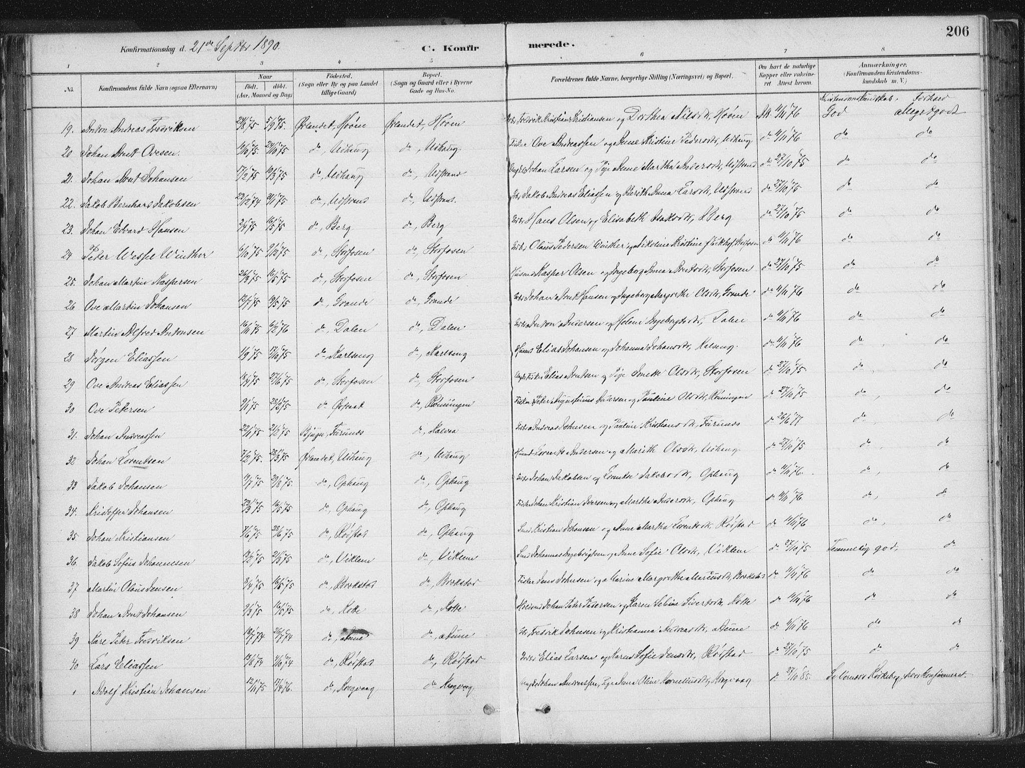 Ministerialprotokoller, klokkerbøker og fødselsregistre - Sør-Trøndelag, AV/SAT-A-1456/659/L0739: Parish register (official) no. 659A09, 1879-1893, p. 206