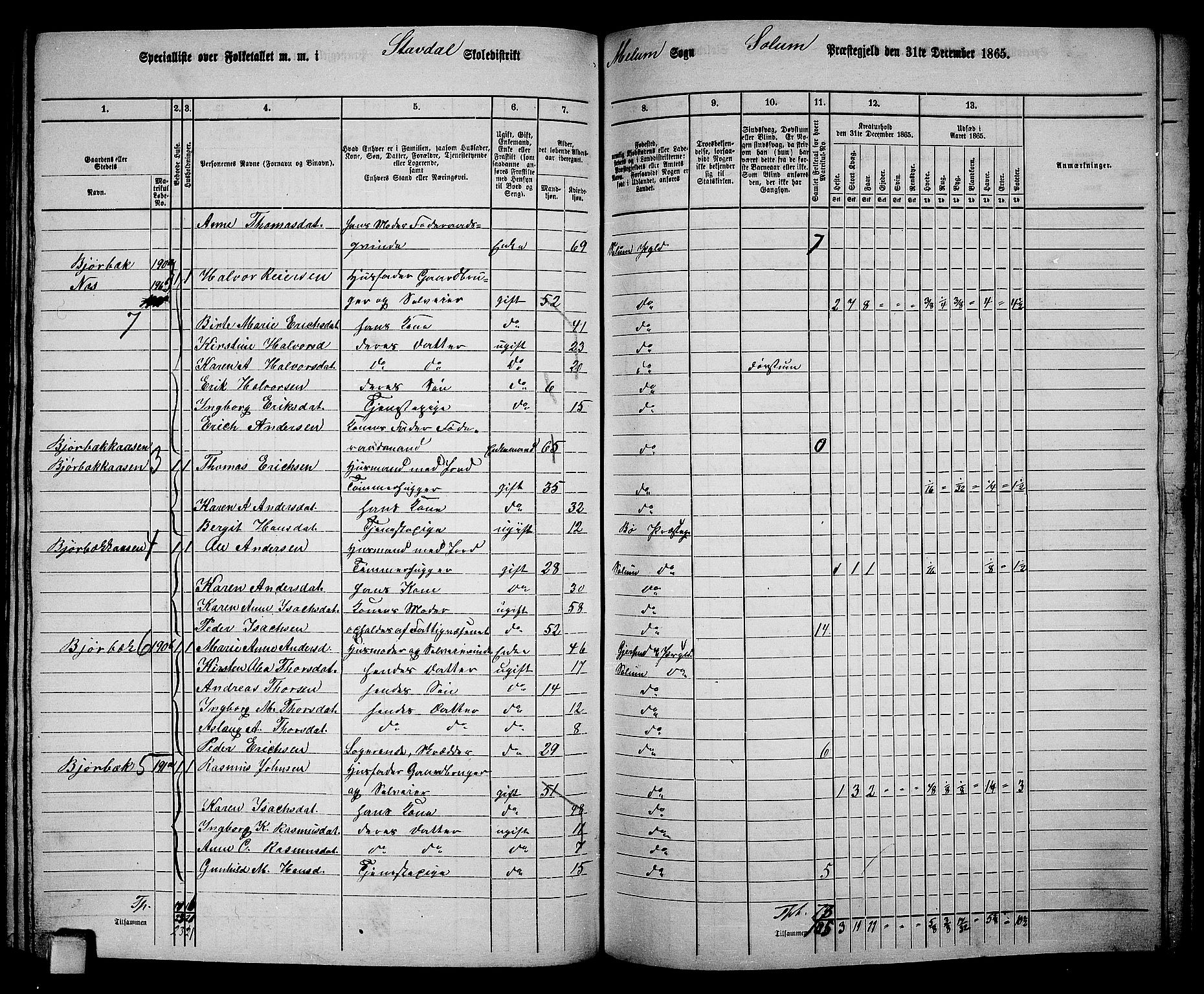 RA, 1865 census for Solum, 1865, p. 162