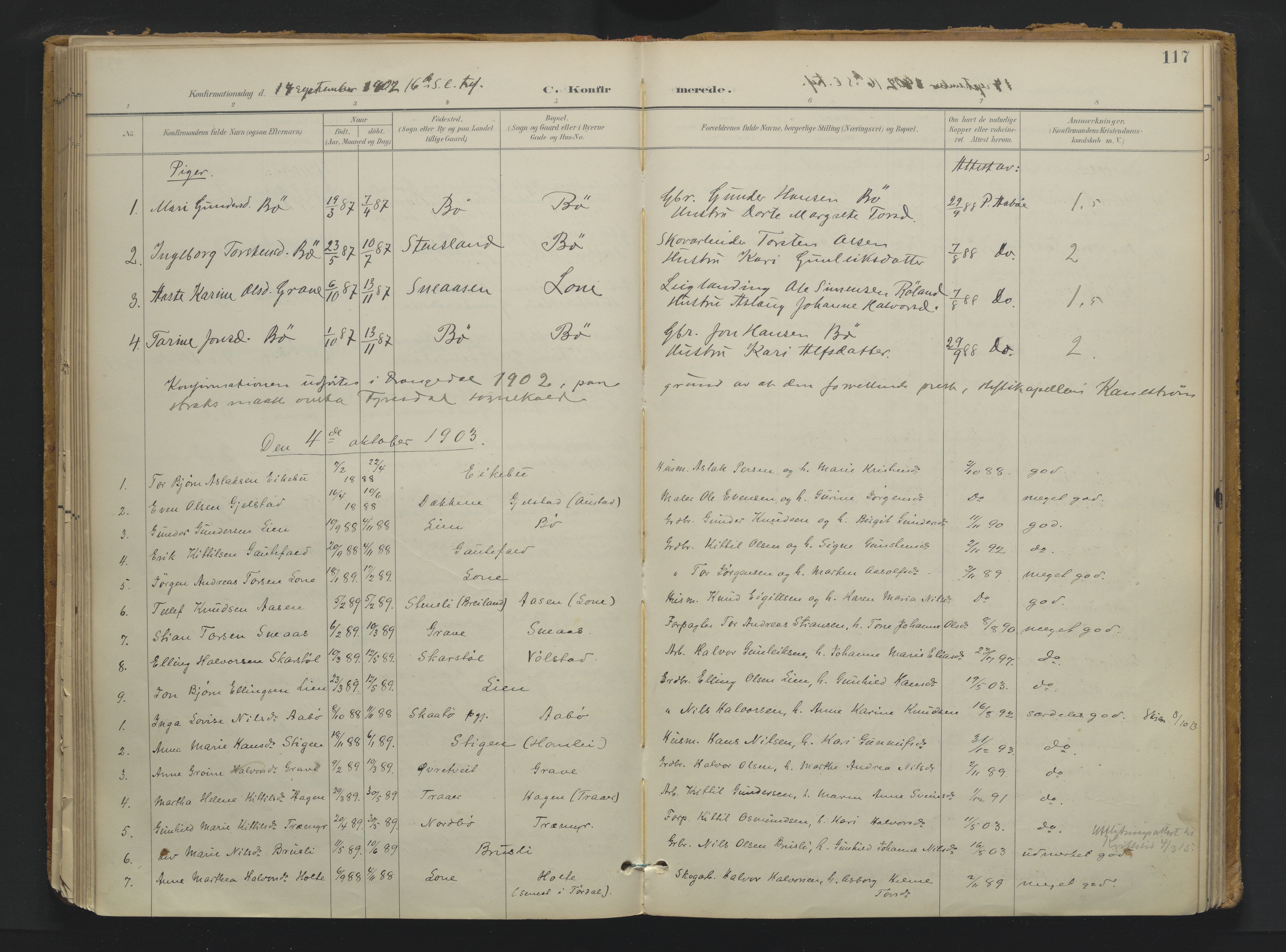 Drangedal kirkebøker, SAKO/A-258/F/Fa/L0013: Parish register (official) no. 13, 1895-1919, p. 117