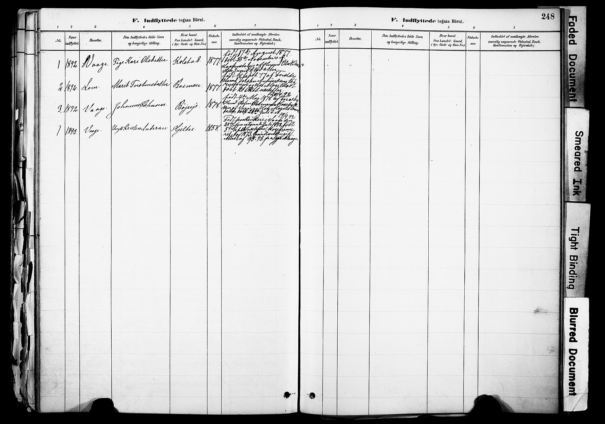 Skjåk prestekontor, SAH/PREST-072/H/Ha/Haa/L0003: Parish register (official) no. 3, 1880-1907, p. 248
