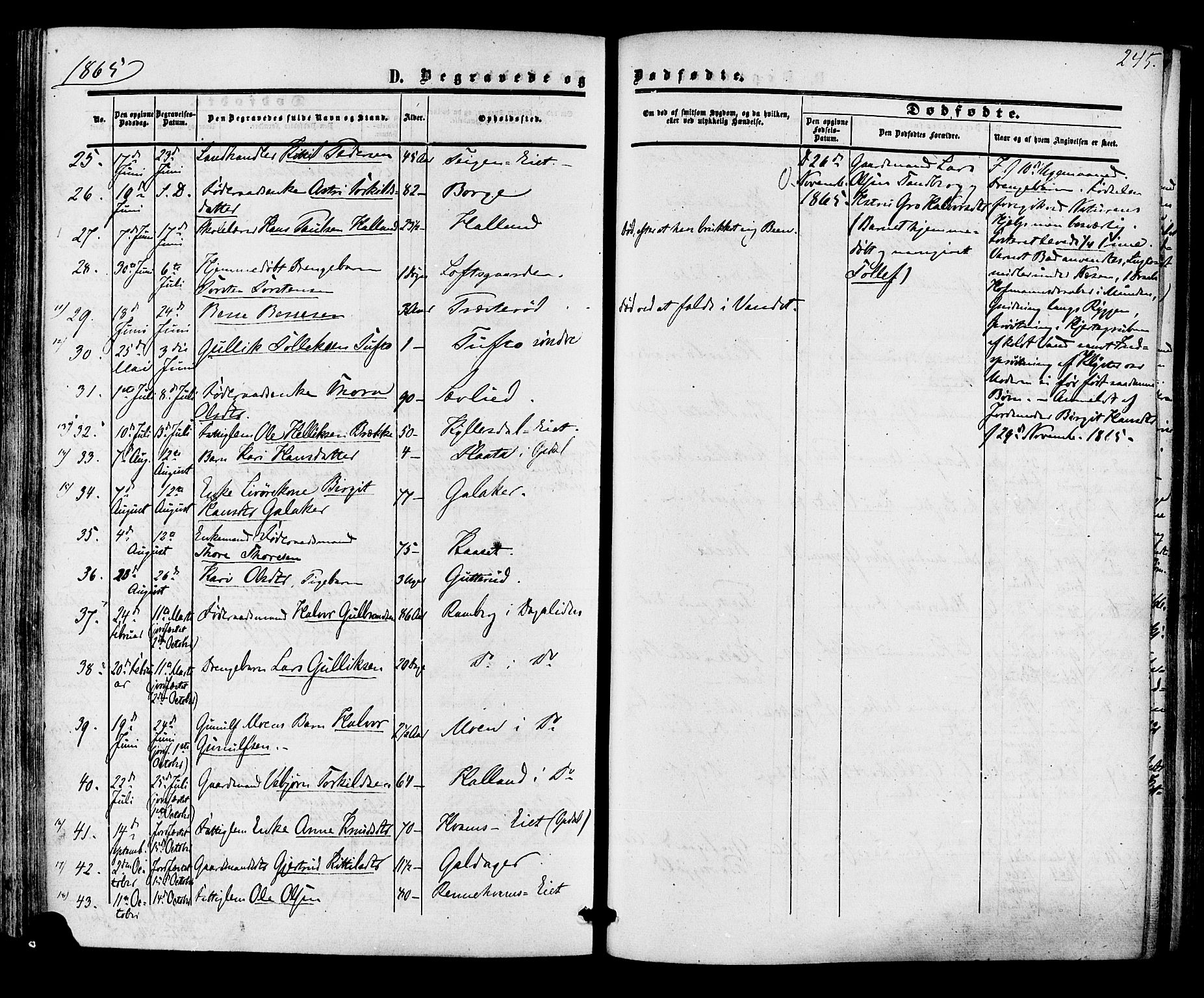 Nore kirkebøker, SAKO/A-238/F/Fa/L0003: Parish register (official) no. I 3, 1858-1866, p. 245