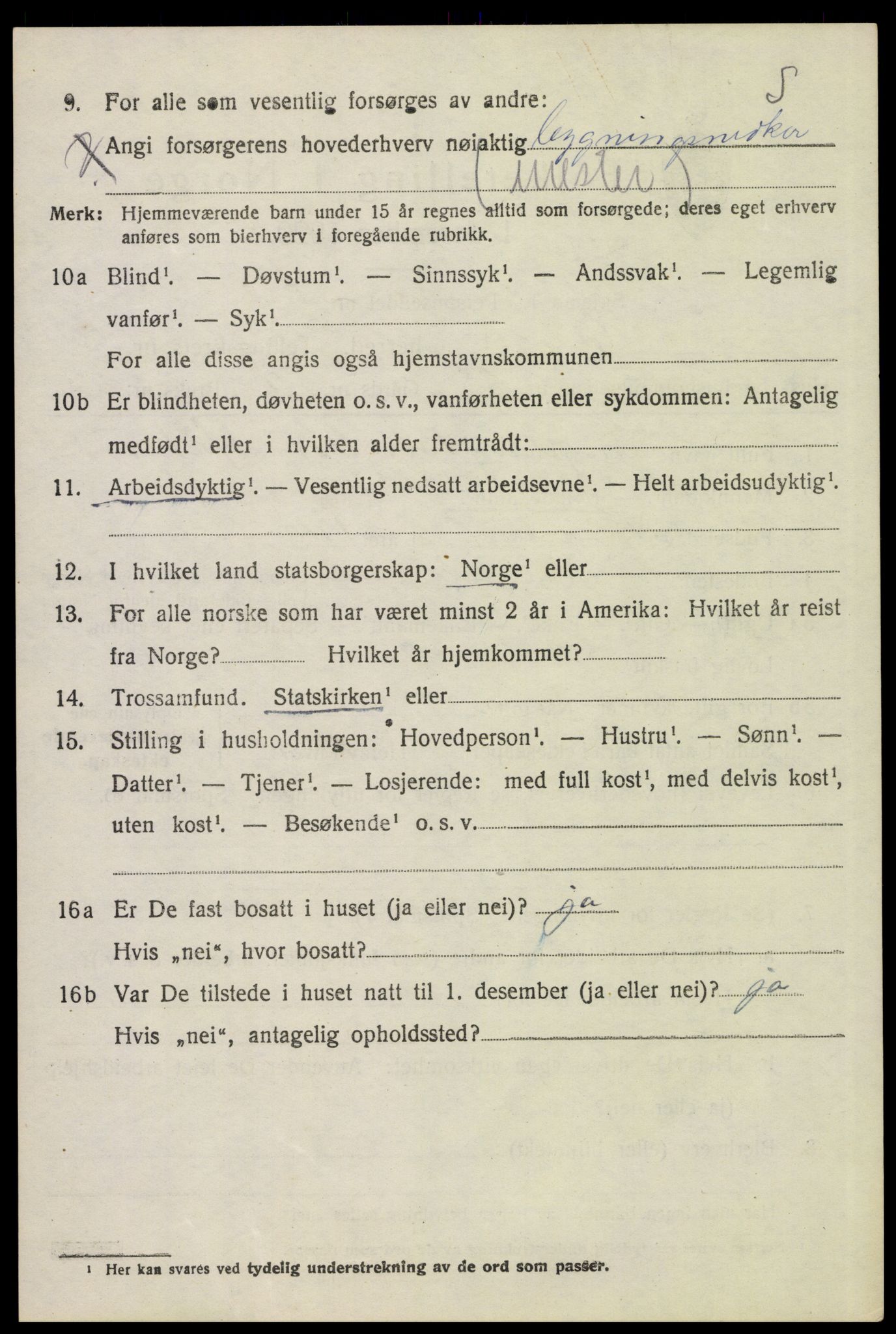 SAH, 1920 census for Vinger, 1920, p. 11369