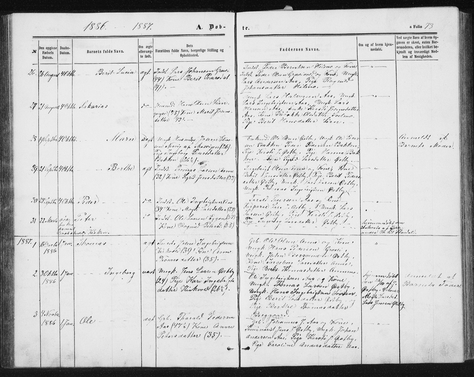 Ministerialprotokoller, klokkerbøker og fødselsregistre - Sør-Trøndelag, SAT/A-1456/698/L1166: Parish register (copy) no. 698C03, 1861-1887, p. 73