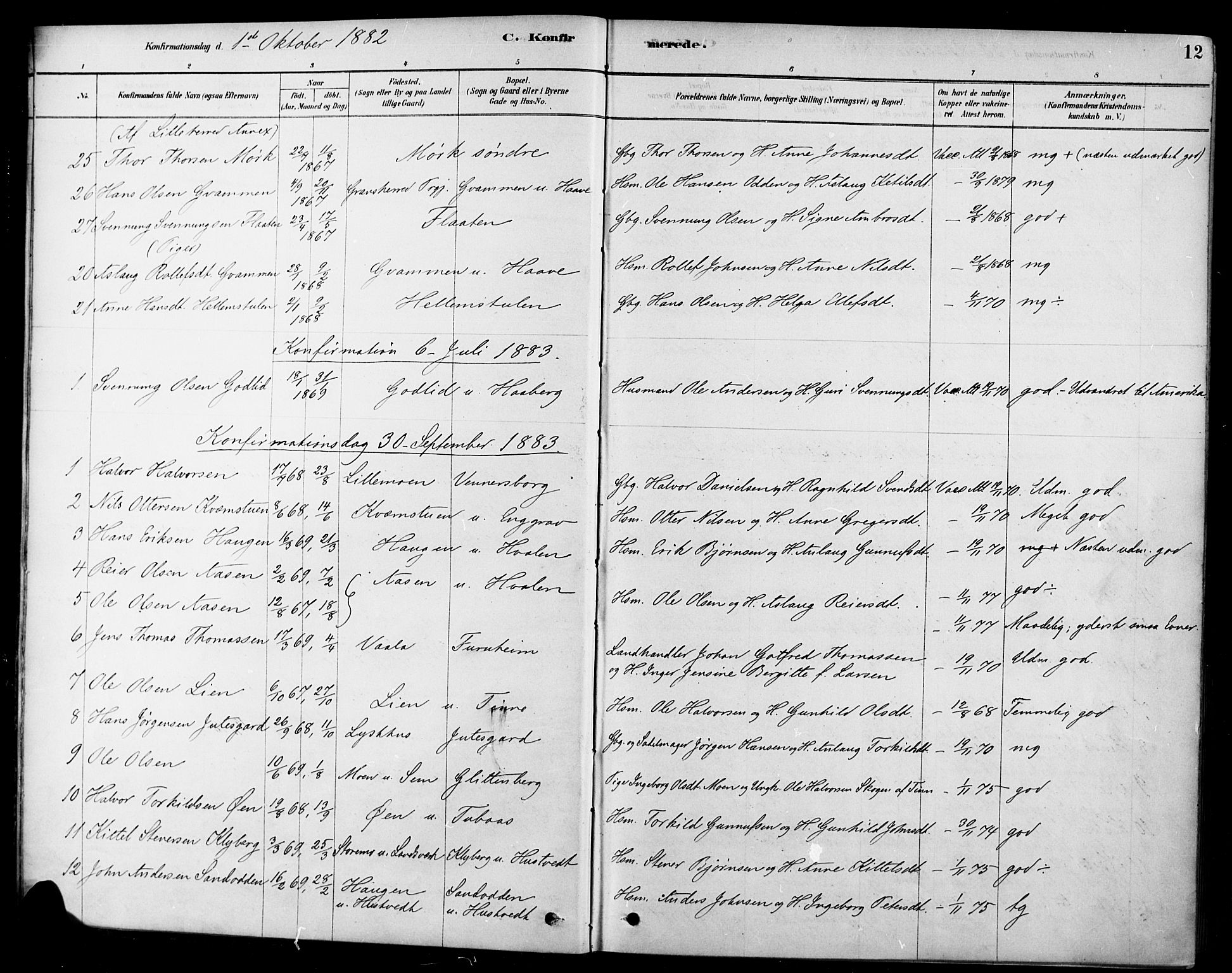 Heddal kirkebøker, SAKO/A-268/F/Fa/L0009: Parish register (official) no. I 9, 1878-1903, p. 12