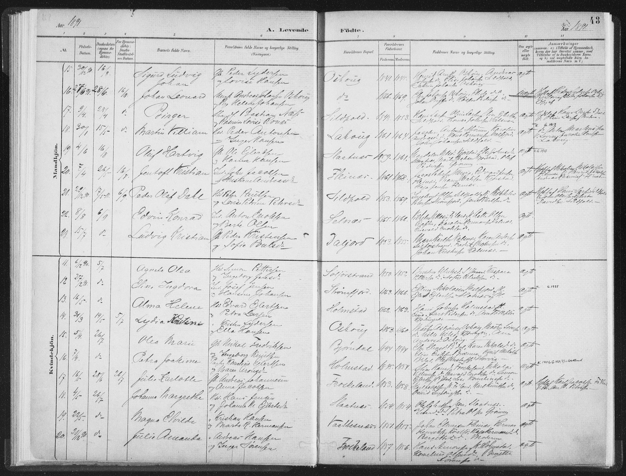 Ministerialprotokoller, klokkerbøker og fødselsregistre - Nordland, AV/SAT-A-1459/890/L1286: Parish register (official) no. 890A01, 1882-1902, p. 43