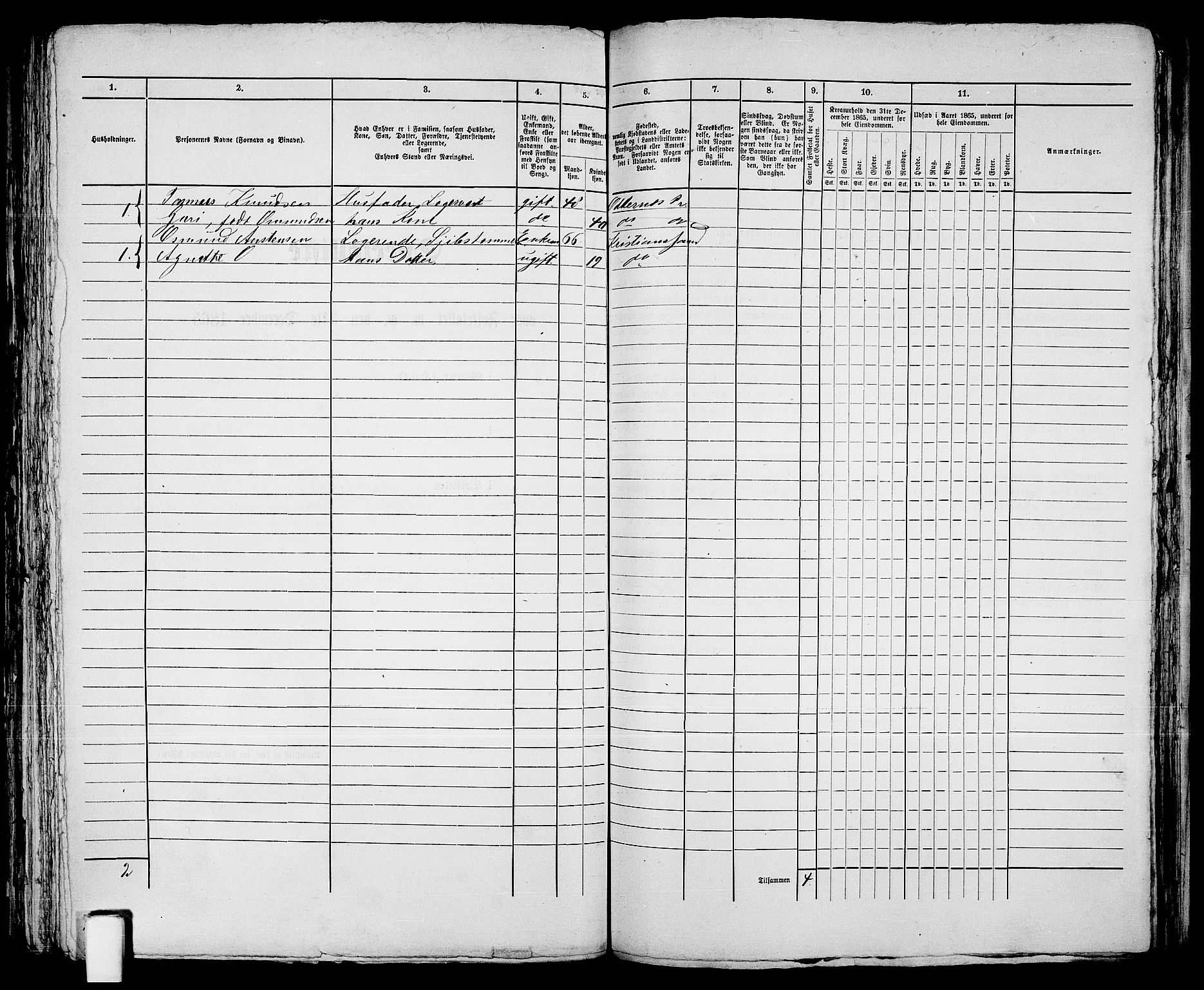 RA, 1865 census for Kristiansand, 1865, p. 1391