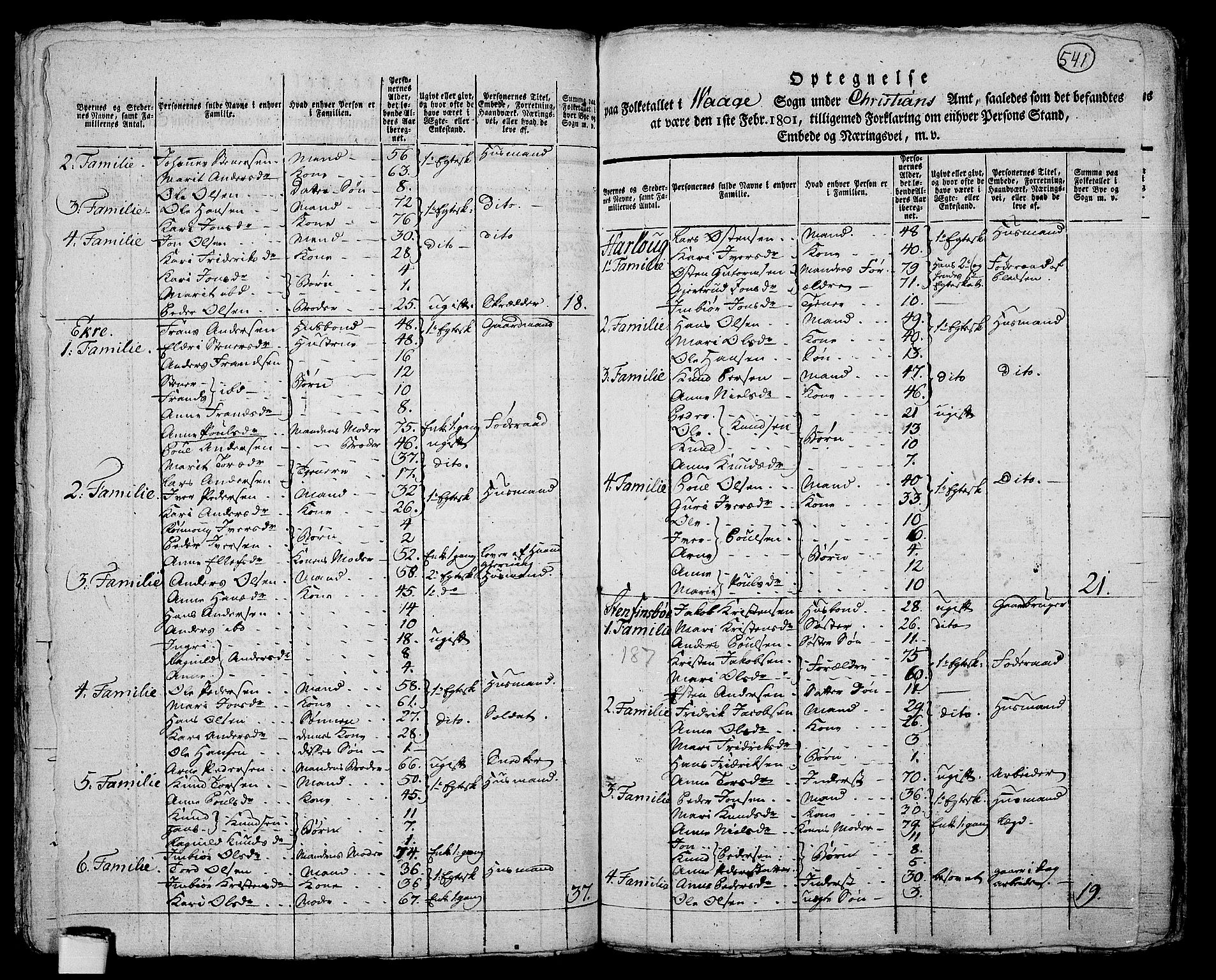 RA, 1801 census for 0515P Vågå, 1801, p. 540b-541a