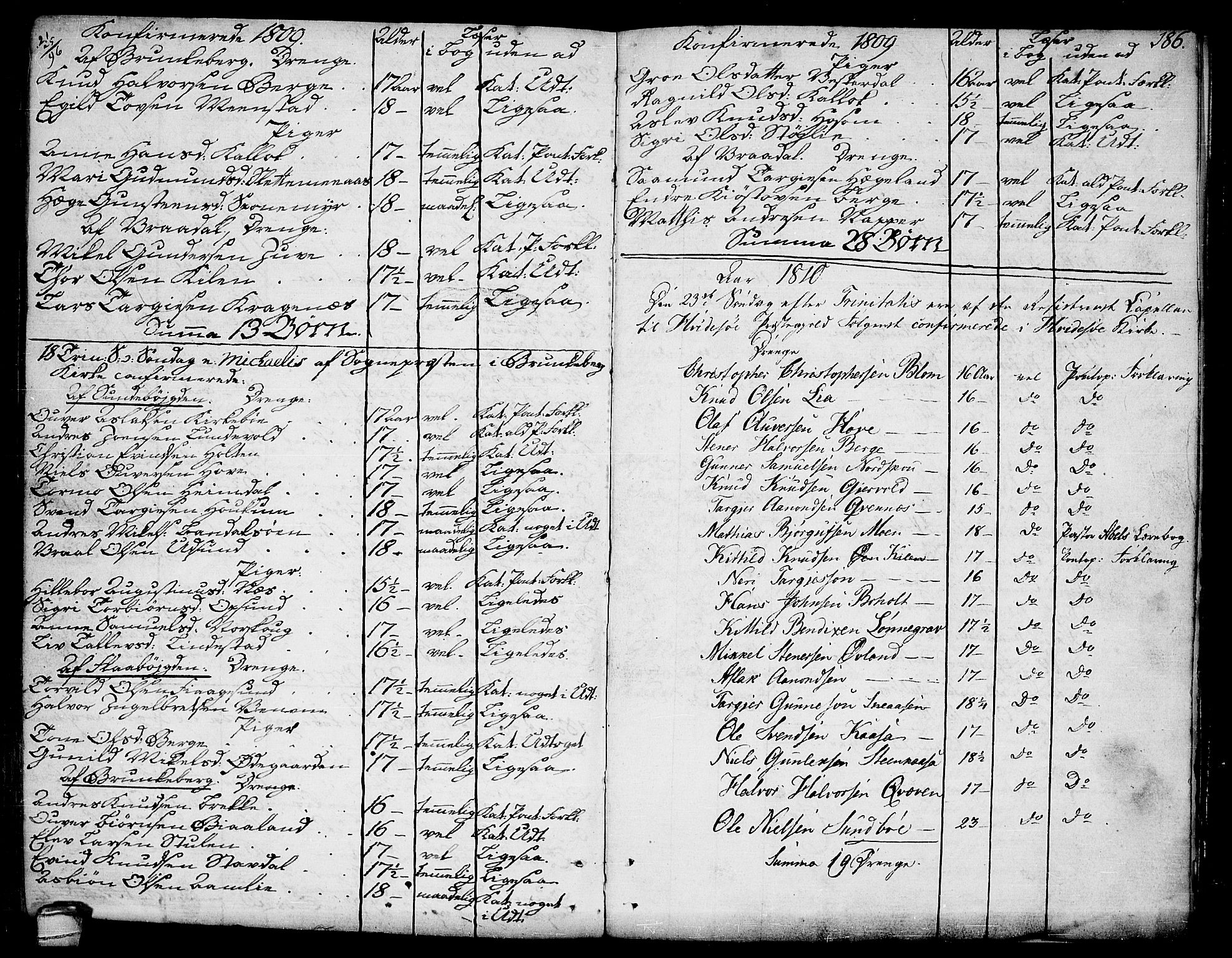 Kviteseid kirkebøker, SAKO/A-276/F/Fa/L0004: Parish register (official) no. I 4, 1800-1814, p. 186