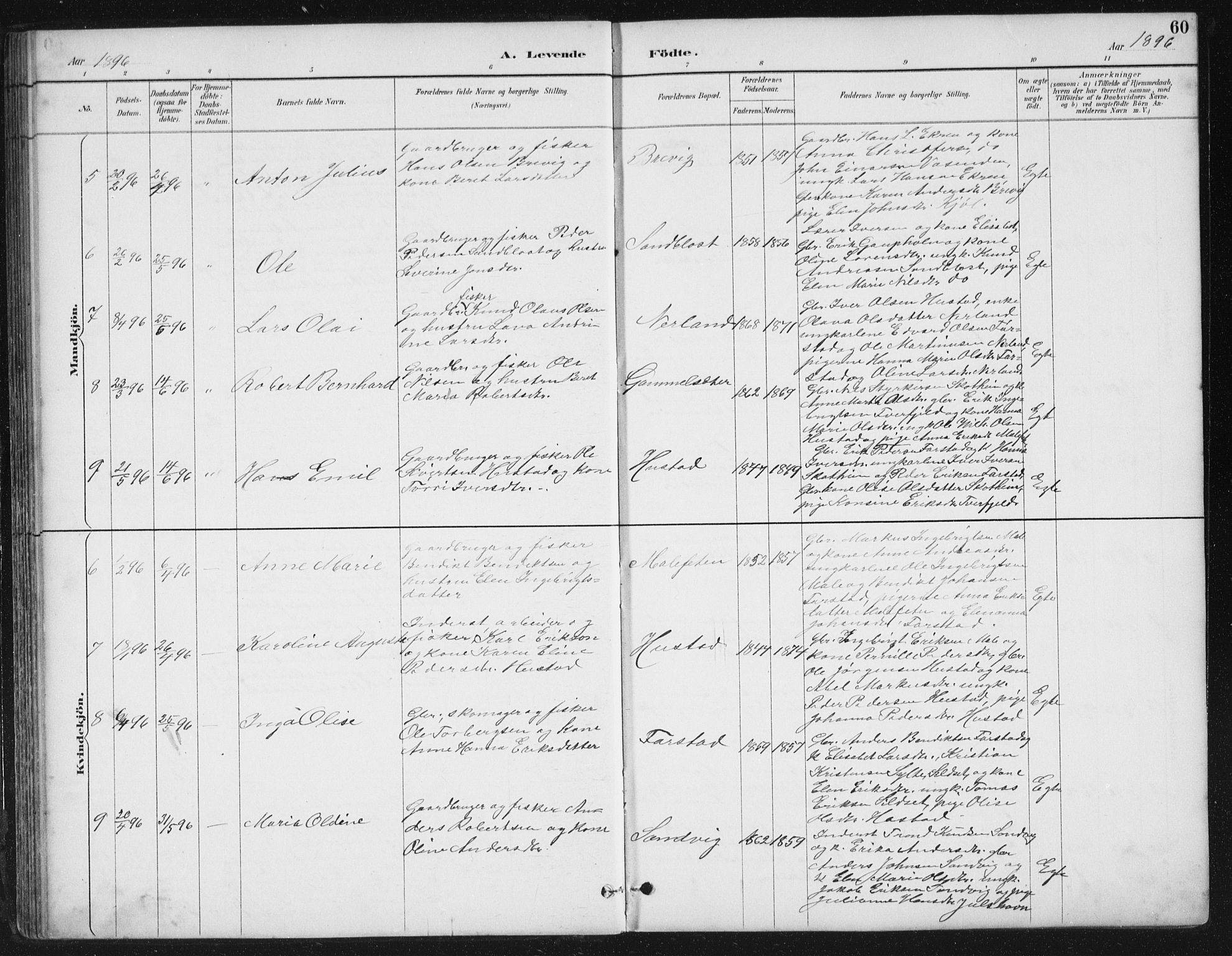 Ministerialprotokoller, klokkerbøker og fødselsregistre - Møre og Romsdal, SAT/A-1454/567/L0783: Parish register (copy) no. 567C03, 1887-1903, p. 60