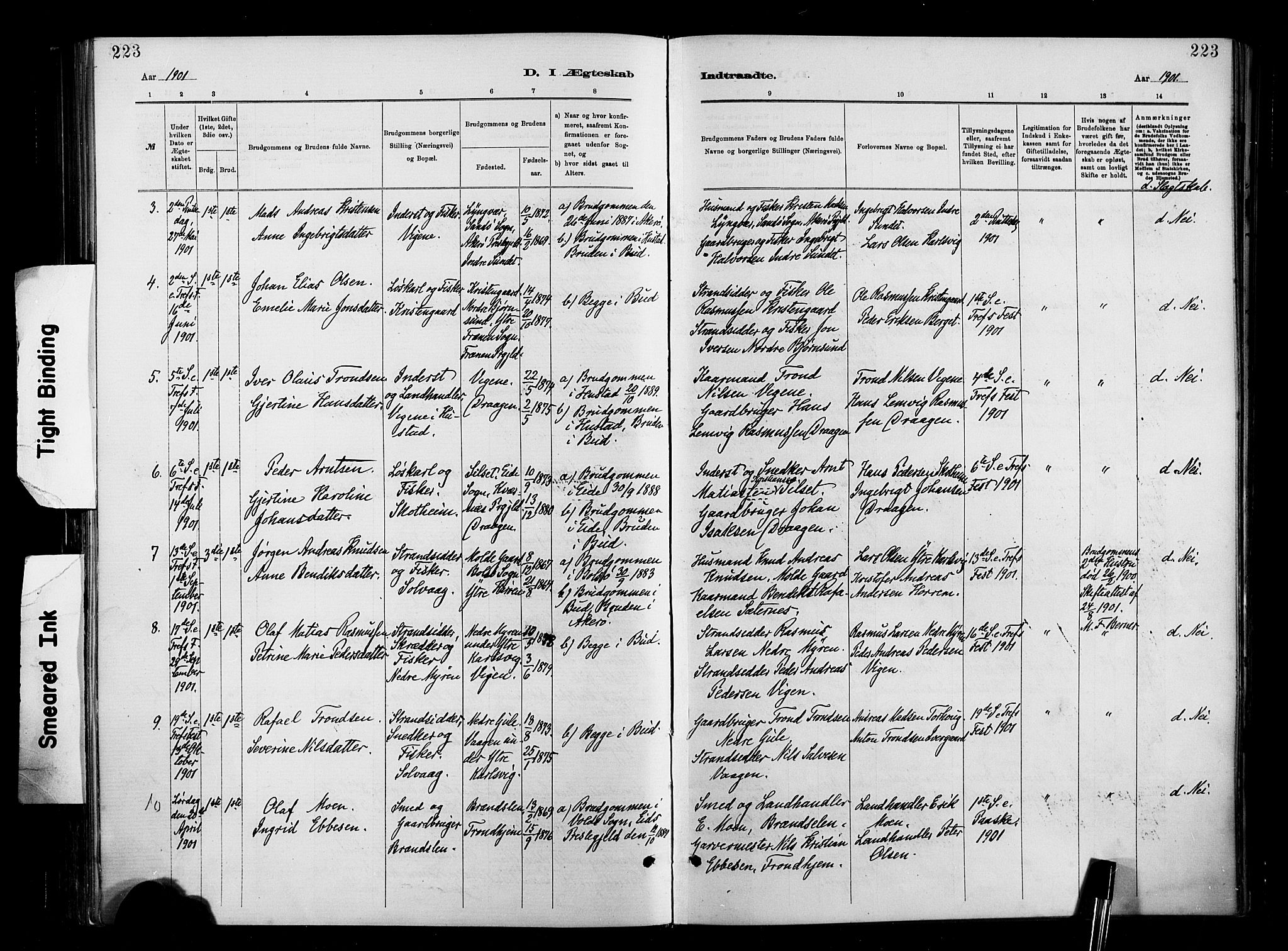 Ministerialprotokoller, klokkerbøker og fødselsregistre - Møre og Romsdal, SAT/A-1454/566/L0769: Parish register (official) no. 566A08, 1881-1903, p. 223