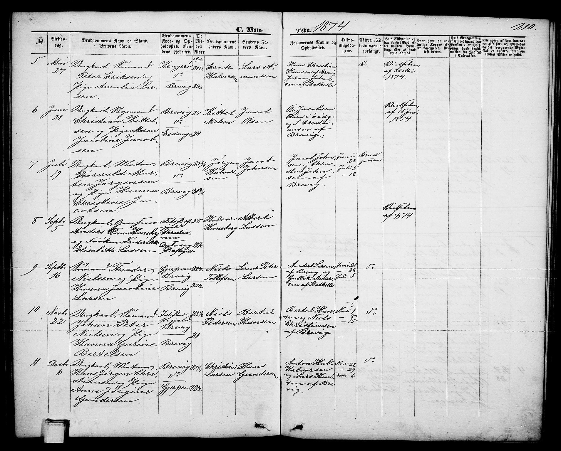 Brevik kirkebøker, AV/SAKO-A-255/G/Ga/L0003: Parish register (copy) no. 3, 1866-1881, p. 210