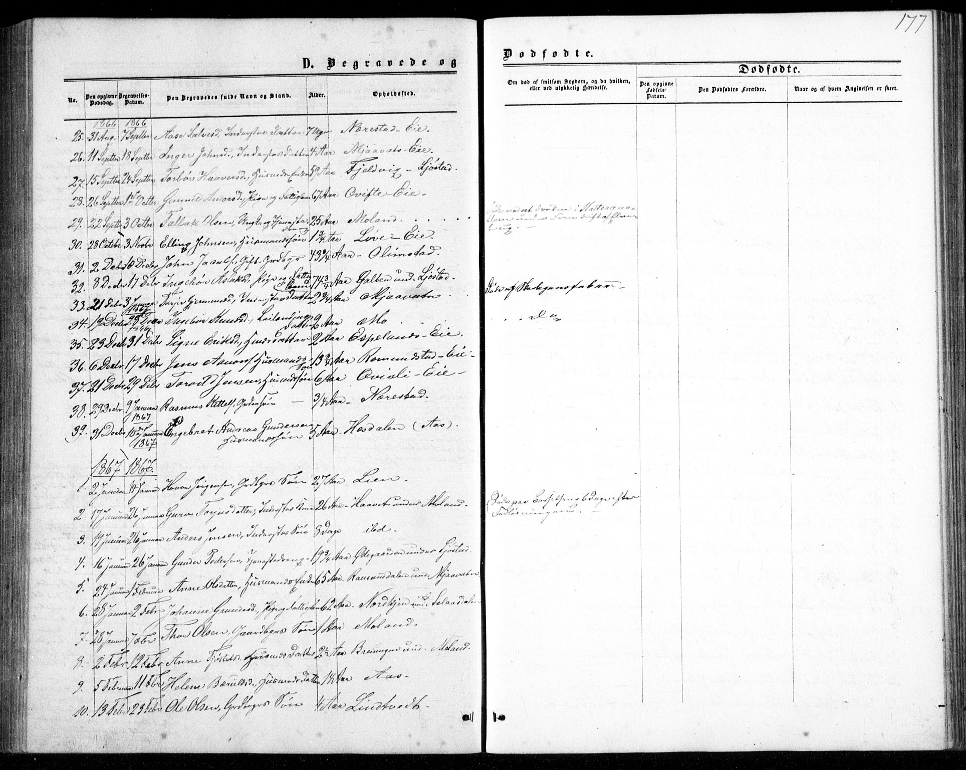 Gjerstad sokneprestkontor, AV/SAK-1111-0014/F/Fb/Fbb/L0003: Parish register (copy) no. B 3, 1862-1889, p. 177