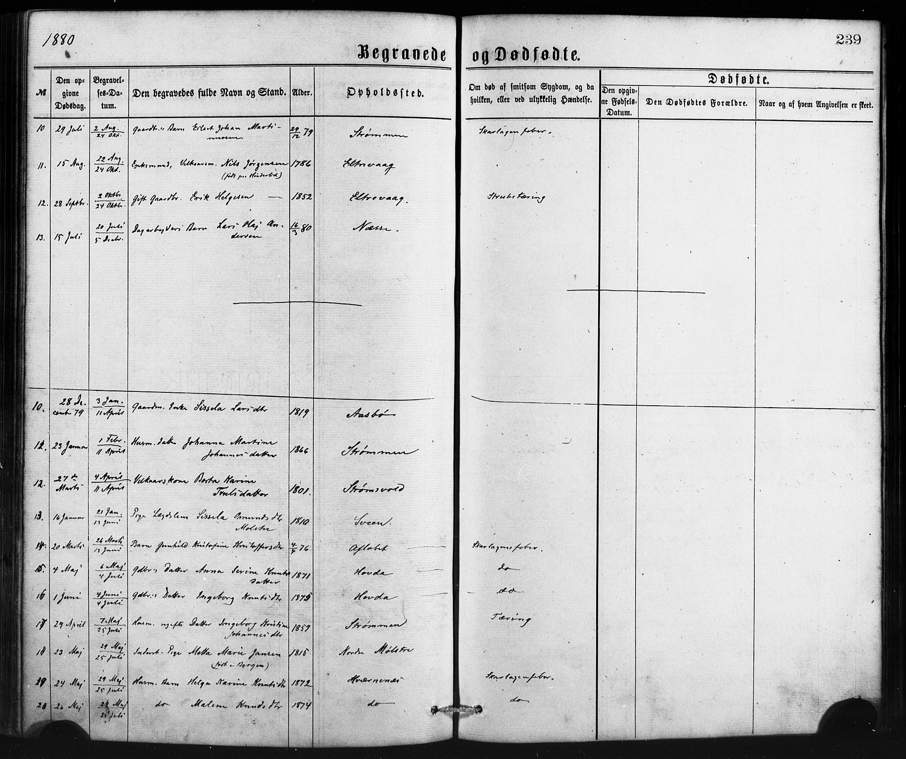 Sveio Sokneprestembete, SAB/A-78501/H/Haa: Parish register (official) no. B 1, 1870-1883, p. 239