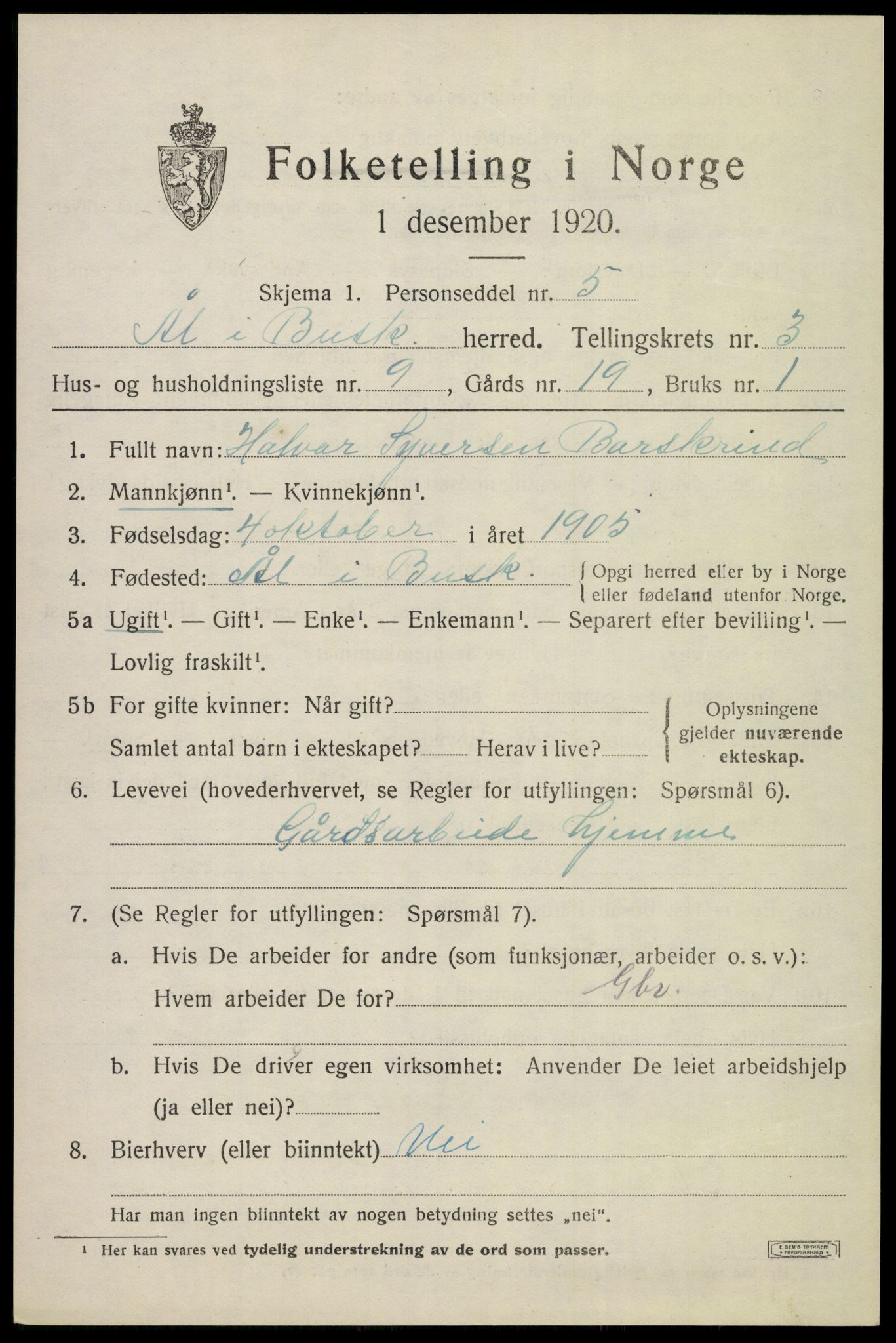 SAKO, 1920 census for Ål, 1920, p. 2496