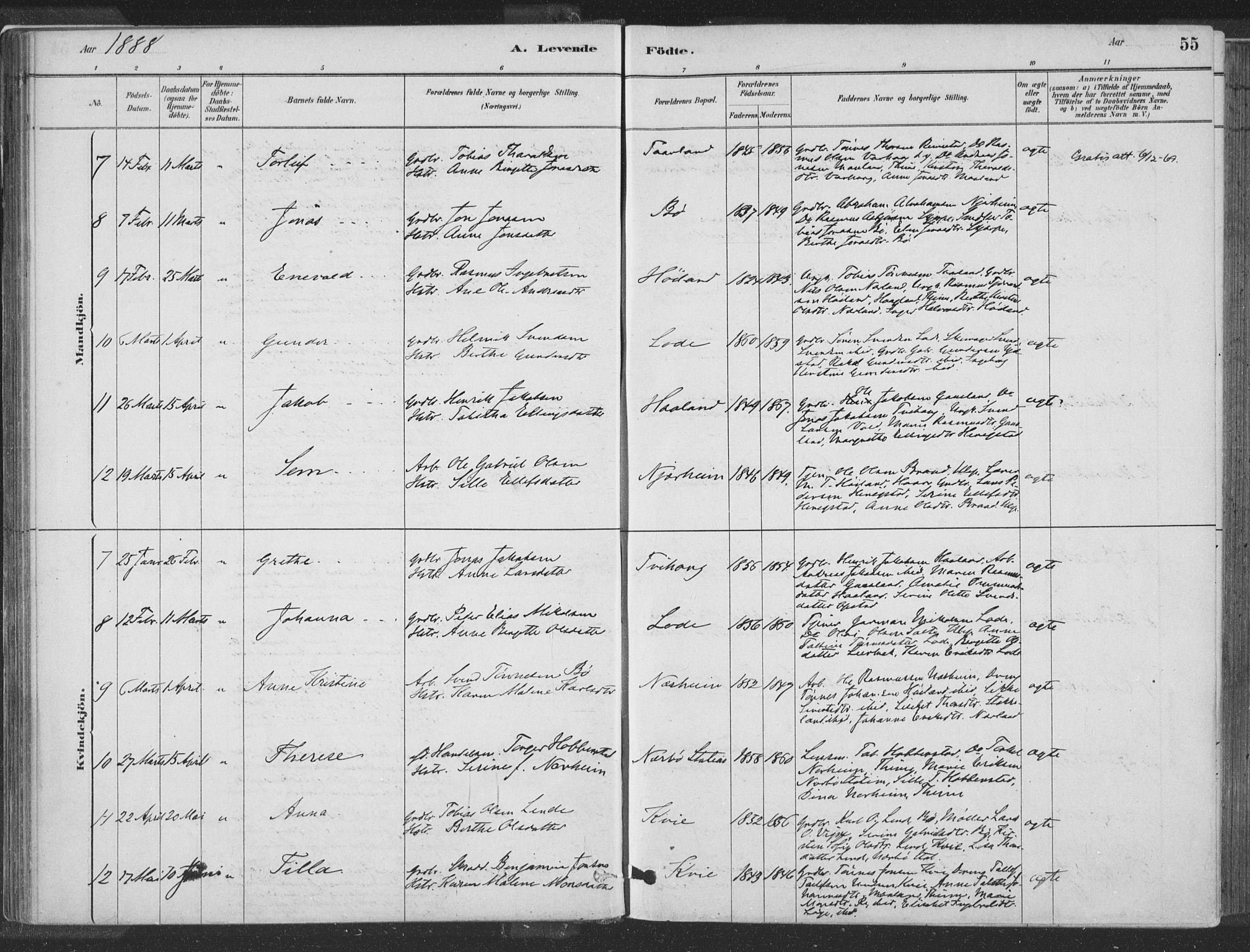 Hå sokneprestkontor, SAST/A-101801/001/30BA/L0010: Parish register (official) no. A 9, 1879-1896, p. 55