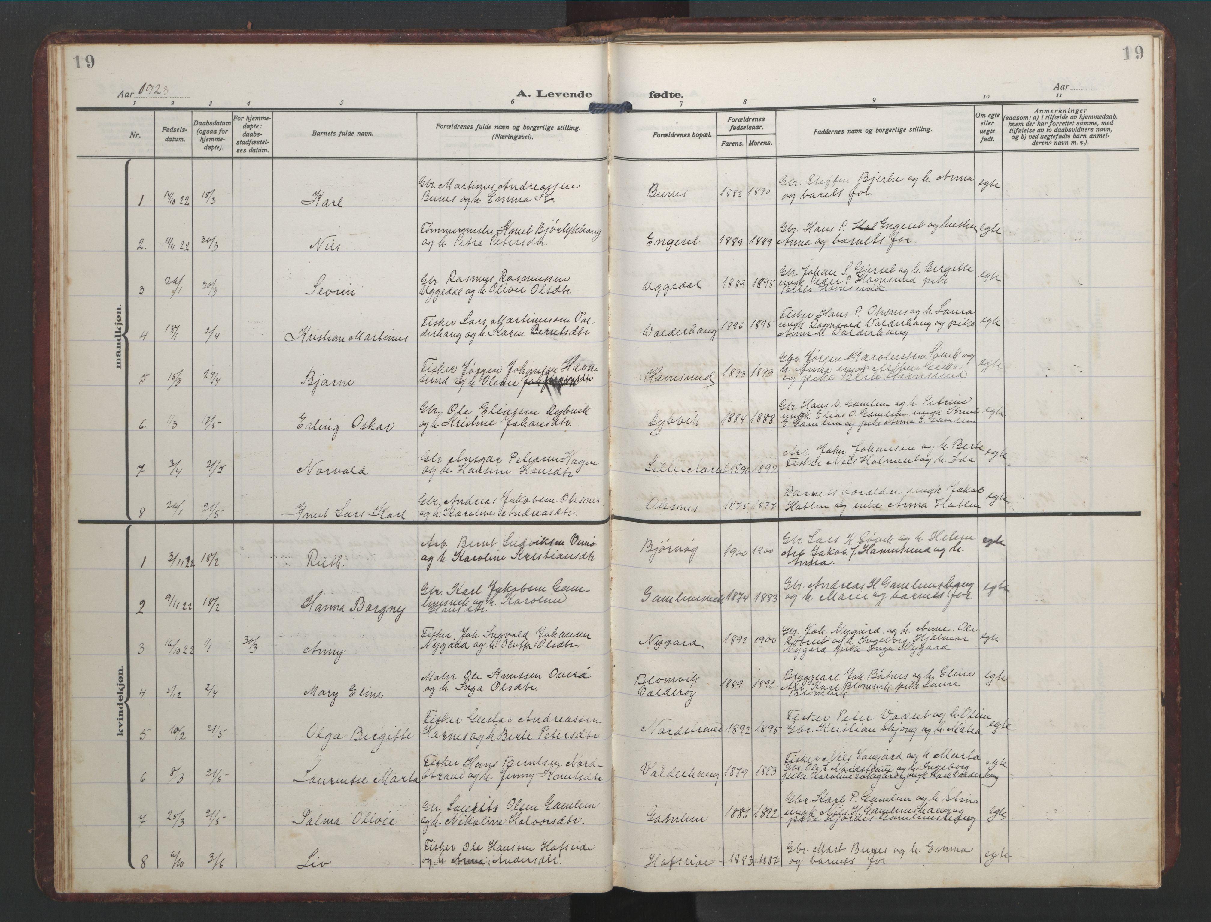 Ministerialprotokoller, klokkerbøker og fødselsregistre - Møre og Romsdal, AV/SAT-A-1454/526/L0384: Parish register (copy) no. 526C01, 1917-1952, p. 19