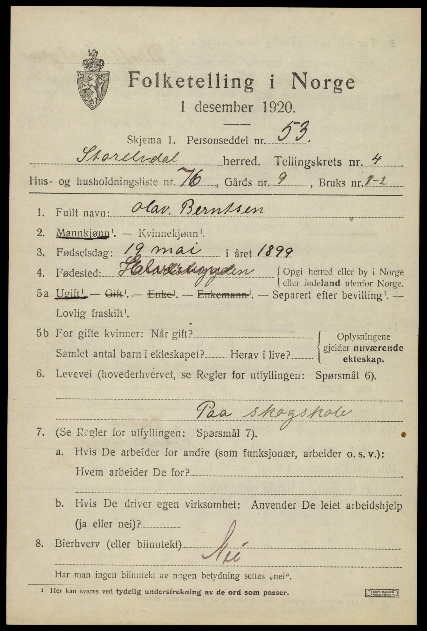 SAH, 1920 census for Stor-Elvdal, 1920, p. 4396