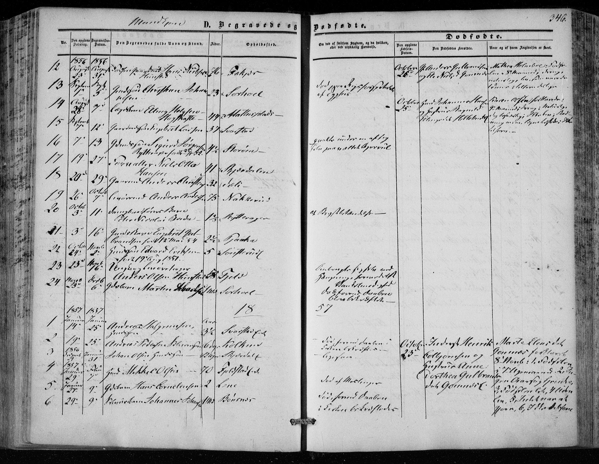 Hole kirkebøker, SAKO/A-228/F/Fa/L0006: Parish register (official) no. I 6, 1852-1872, p. 346