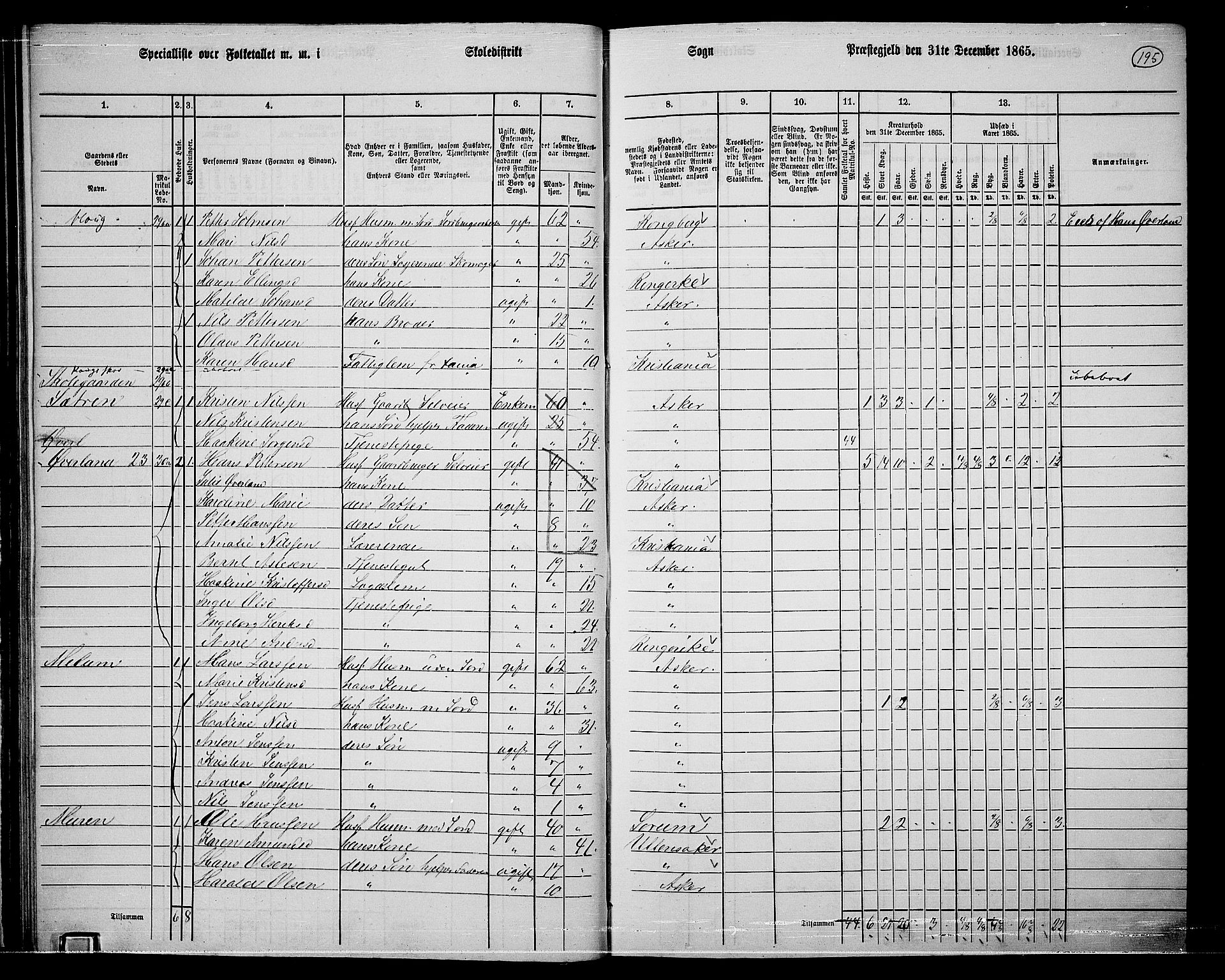 RA, 1865 census for Asker, 1865, p. 187