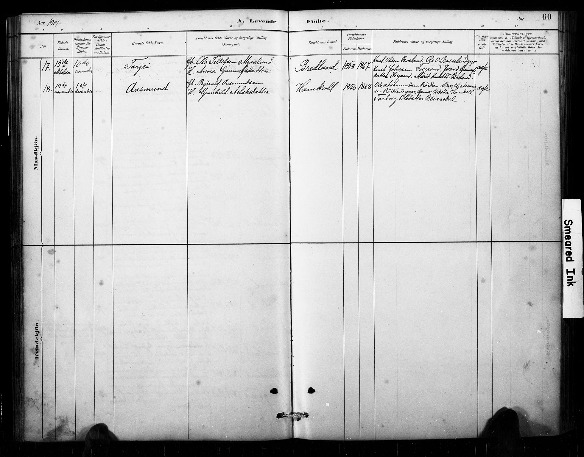 Åseral sokneprestkontor, AV/SAK-1111-0051/F/Fa/L0003: Parish register (official) no. A 3, 1884-1901, p. 60