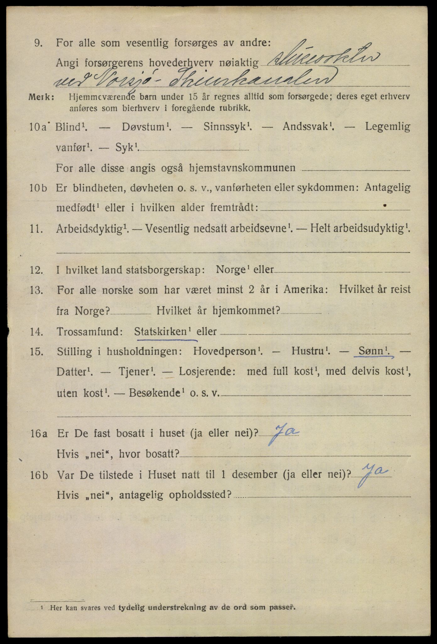 SAKO, 1920 census for Skien, 1920, p. 13527