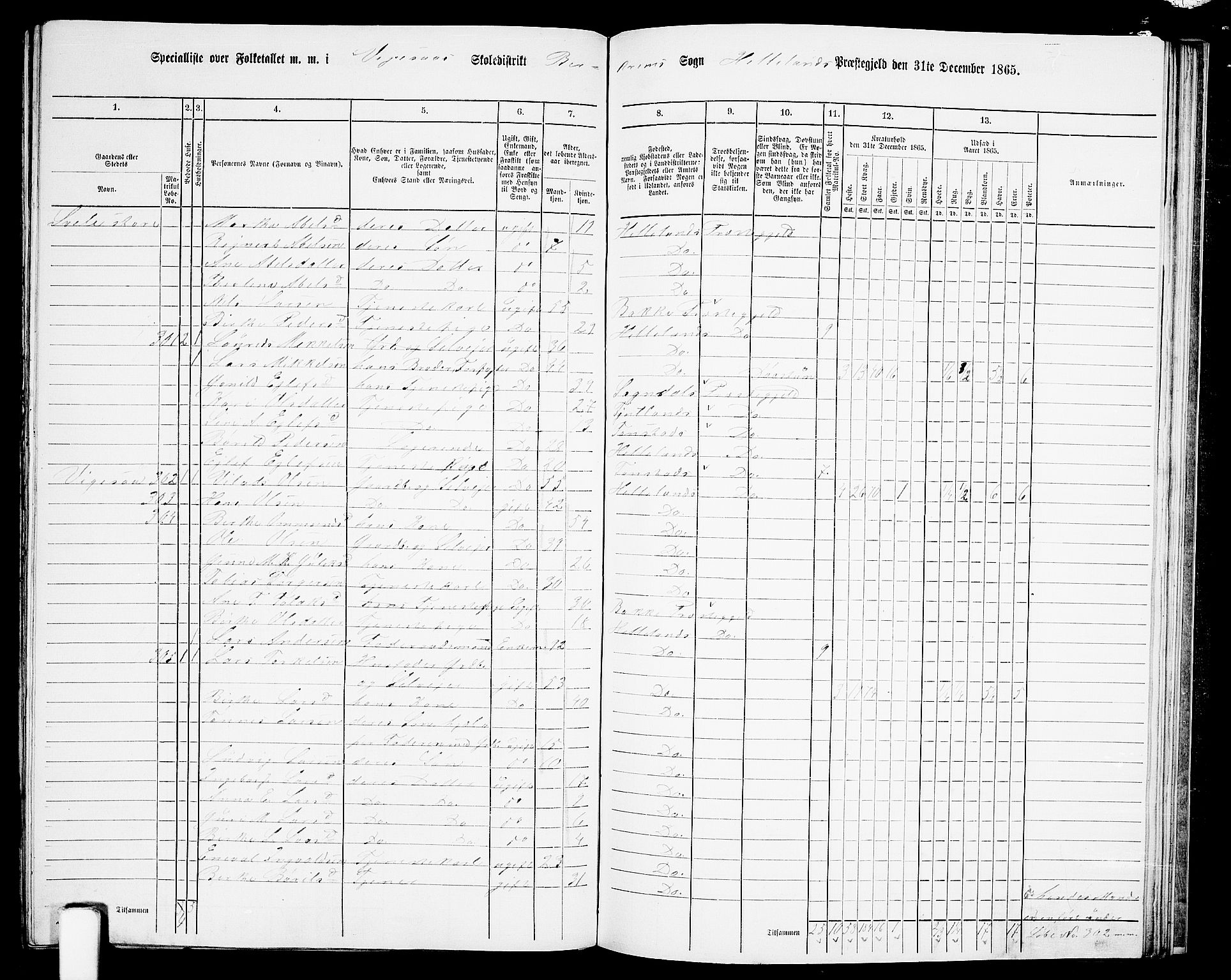 RA, 1865 census for Helleland, 1865, p. 117