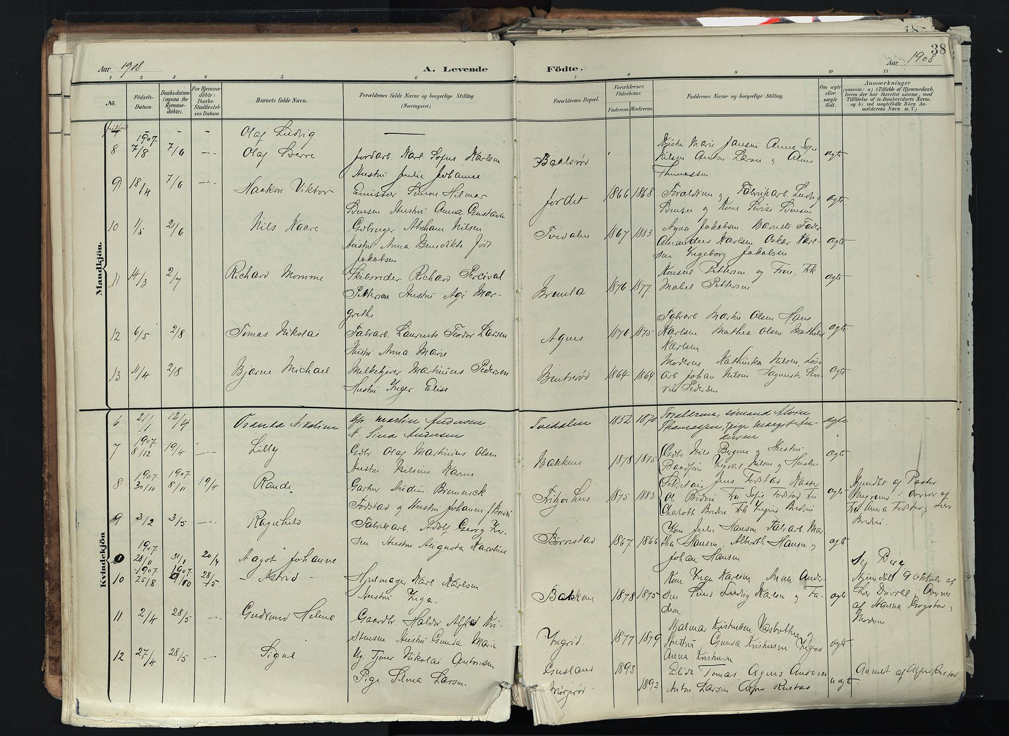 Brunlanes kirkebøker, SAKO/A-342/F/Fc/L0003: Parish register (official) no. III 3, 1900-1922, p. 38