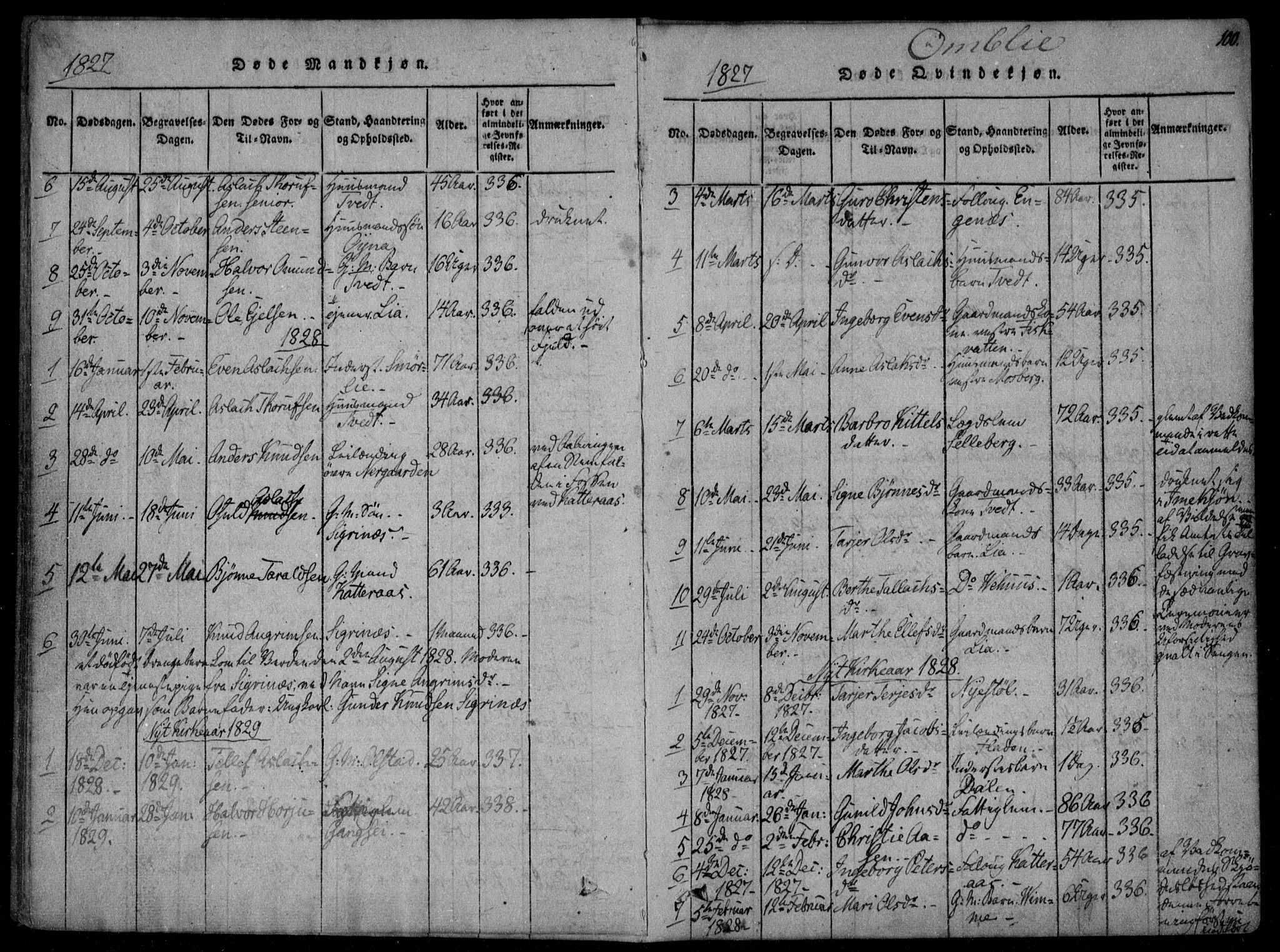 Åmli sokneprestkontor, SAK/1111-0050/F/Fa/Fac/L0006: Parish register (official) no. A 6, 1816-1829, p. 100