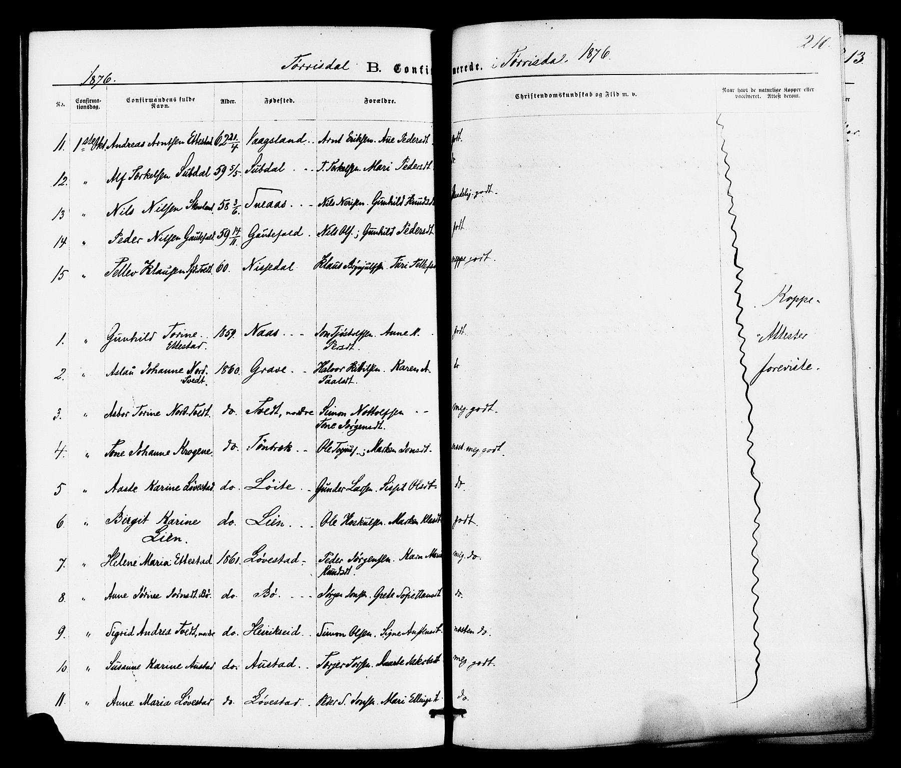 Drangedal kirkebøker, SAKO/A-258/F/Fa/L0009: Parish register (official) no. 9 /2, 1872-1884, p. 210